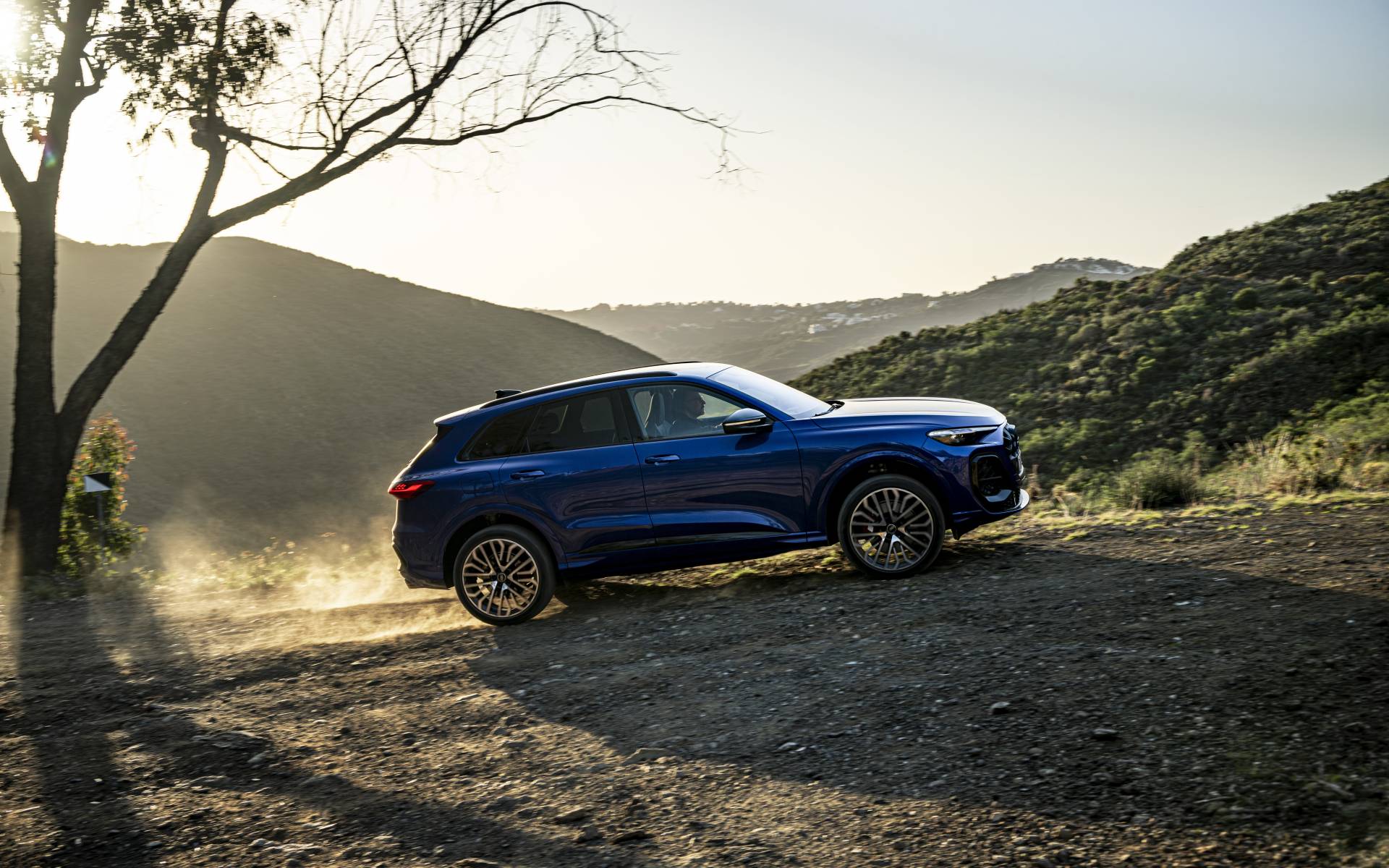 <p>Audi SQ5 2025</p>