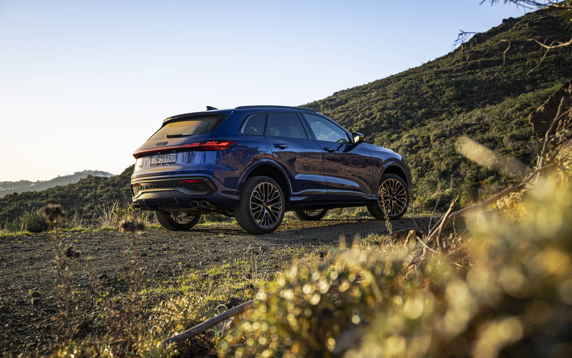 <p>Audi SQ5 2025</p>