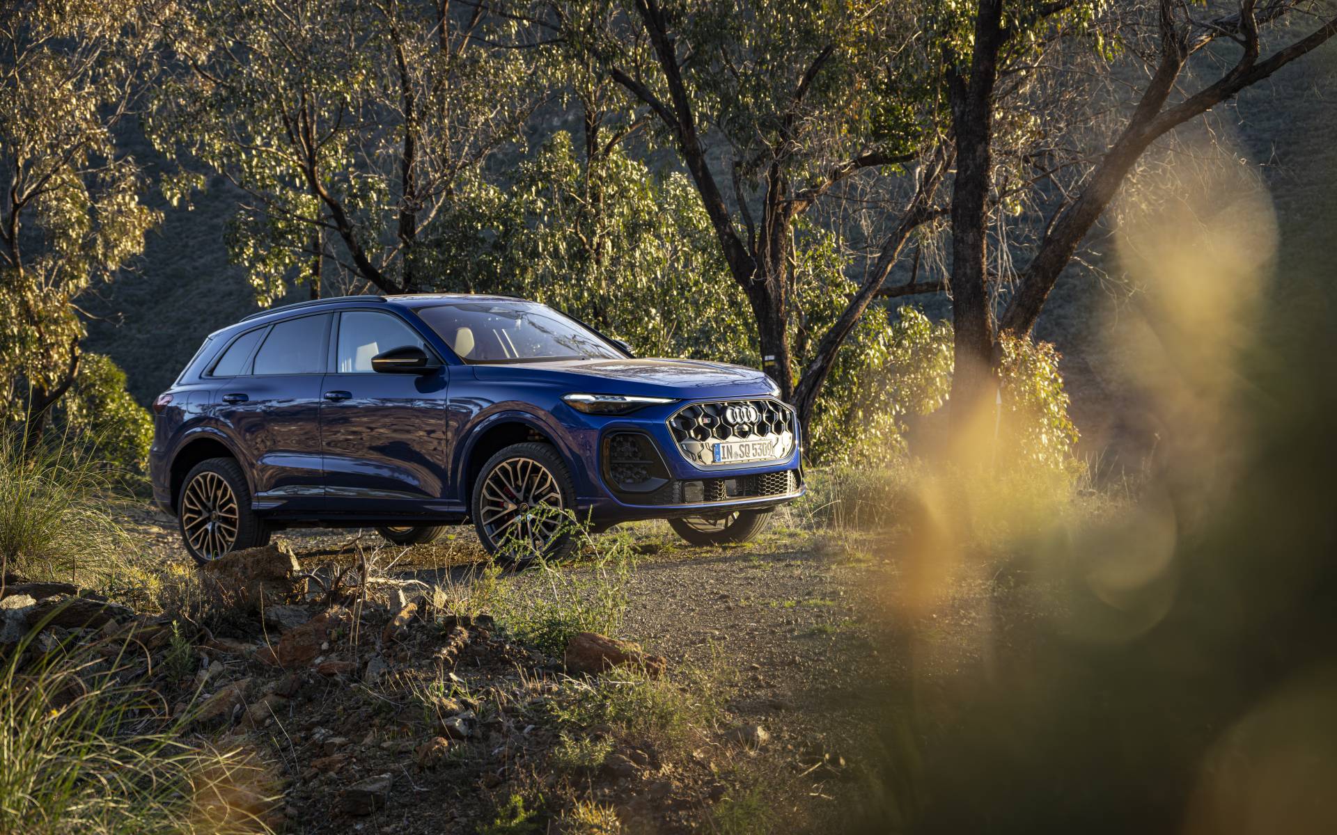 <p>Audi SQ5 2025</p>