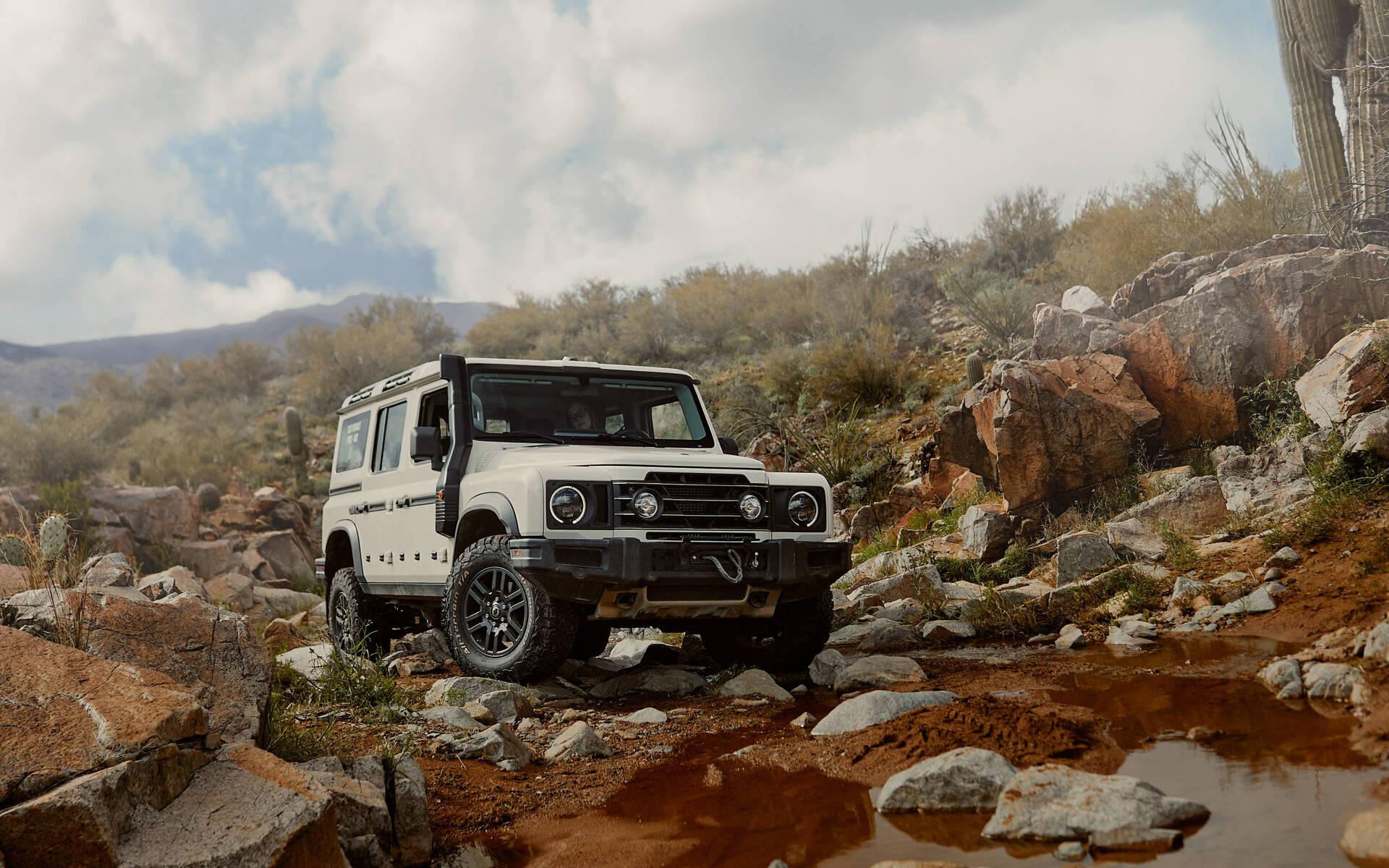 Image approuvée par Marie-Odile