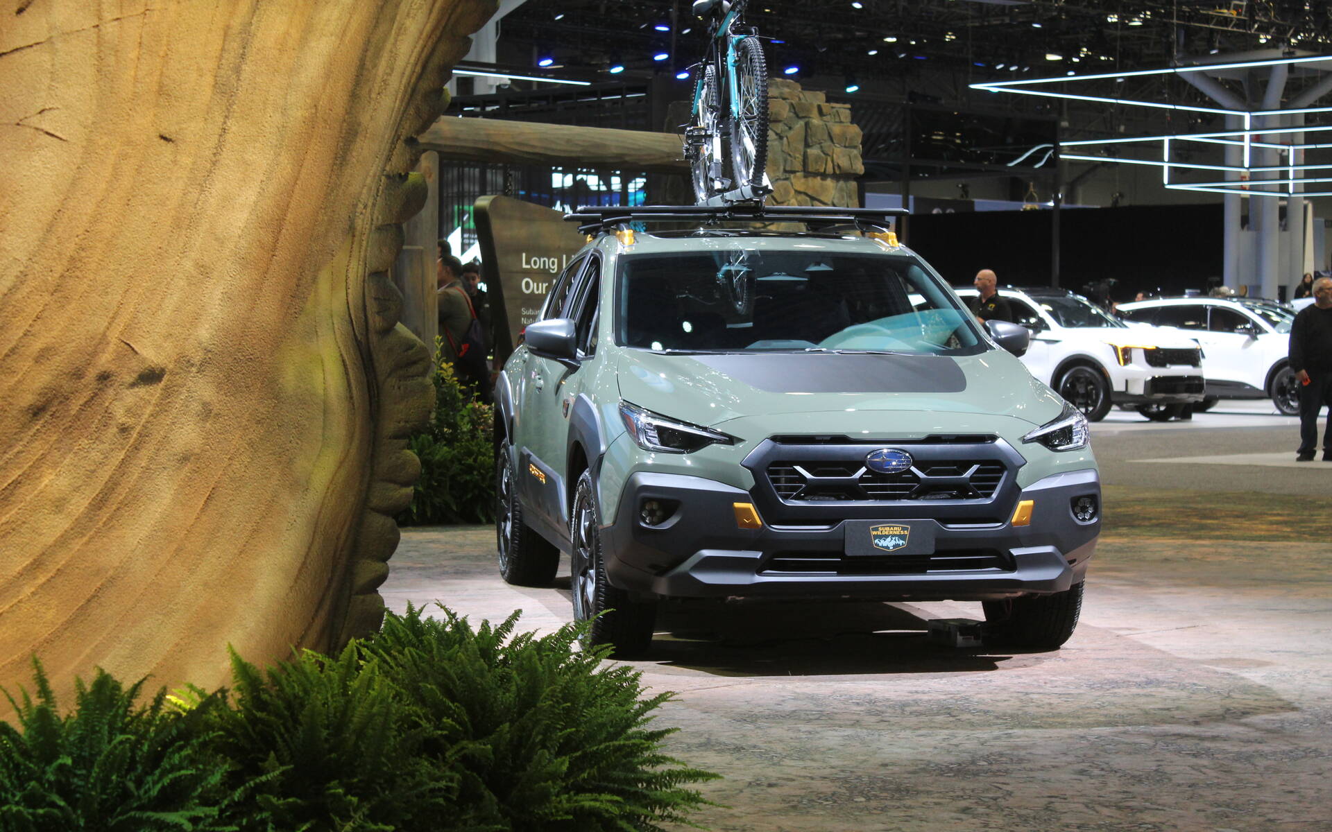 <p>2025 Subaru Crosstrek Wilderness</p>