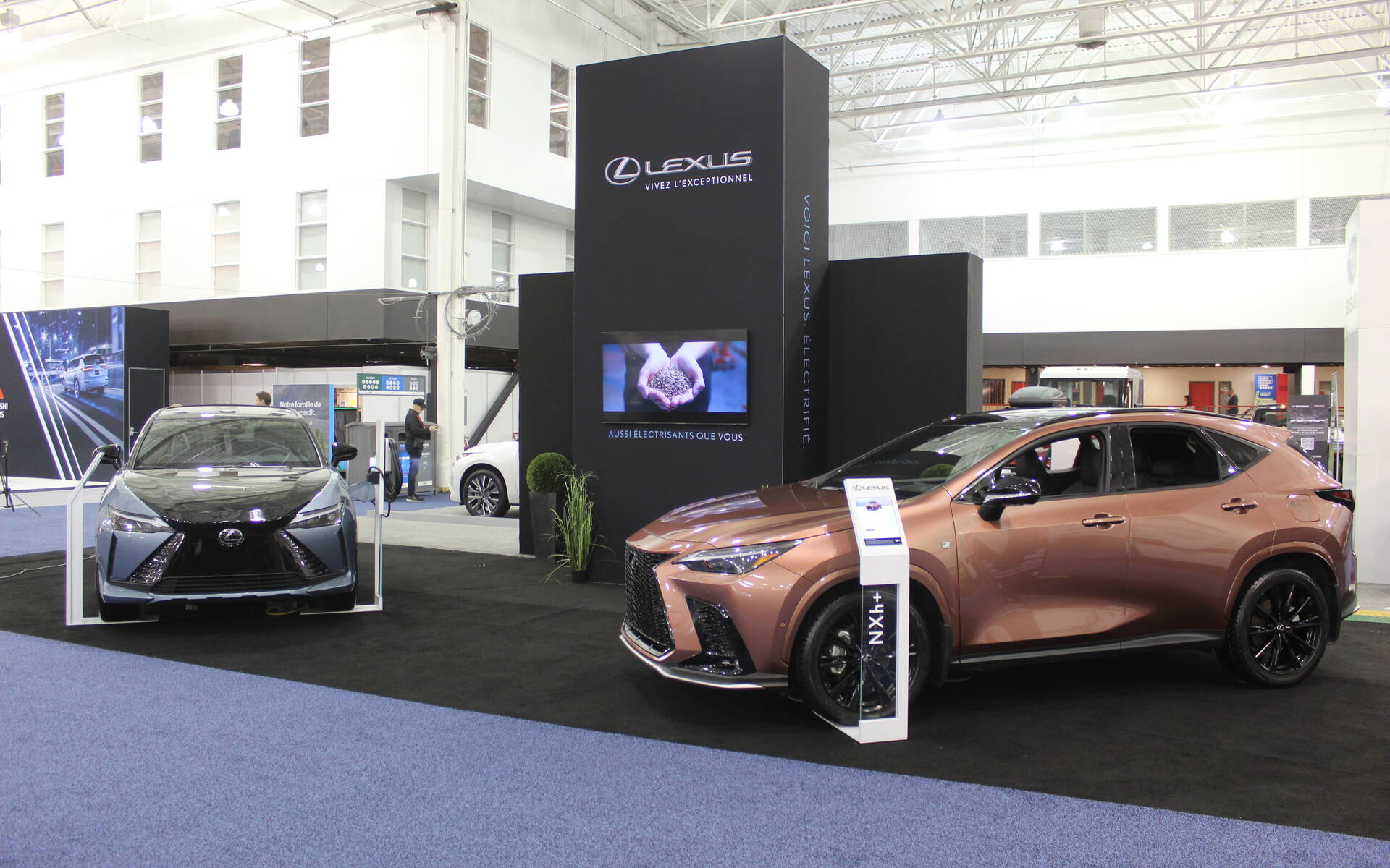 <p>Lexus RZ et NX</p>