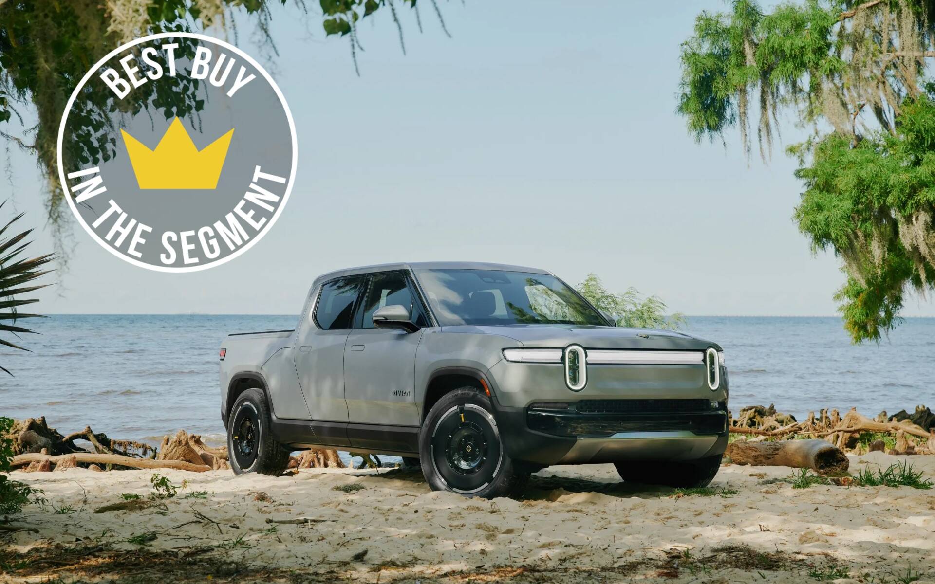The Best Electric Pickups in 2025