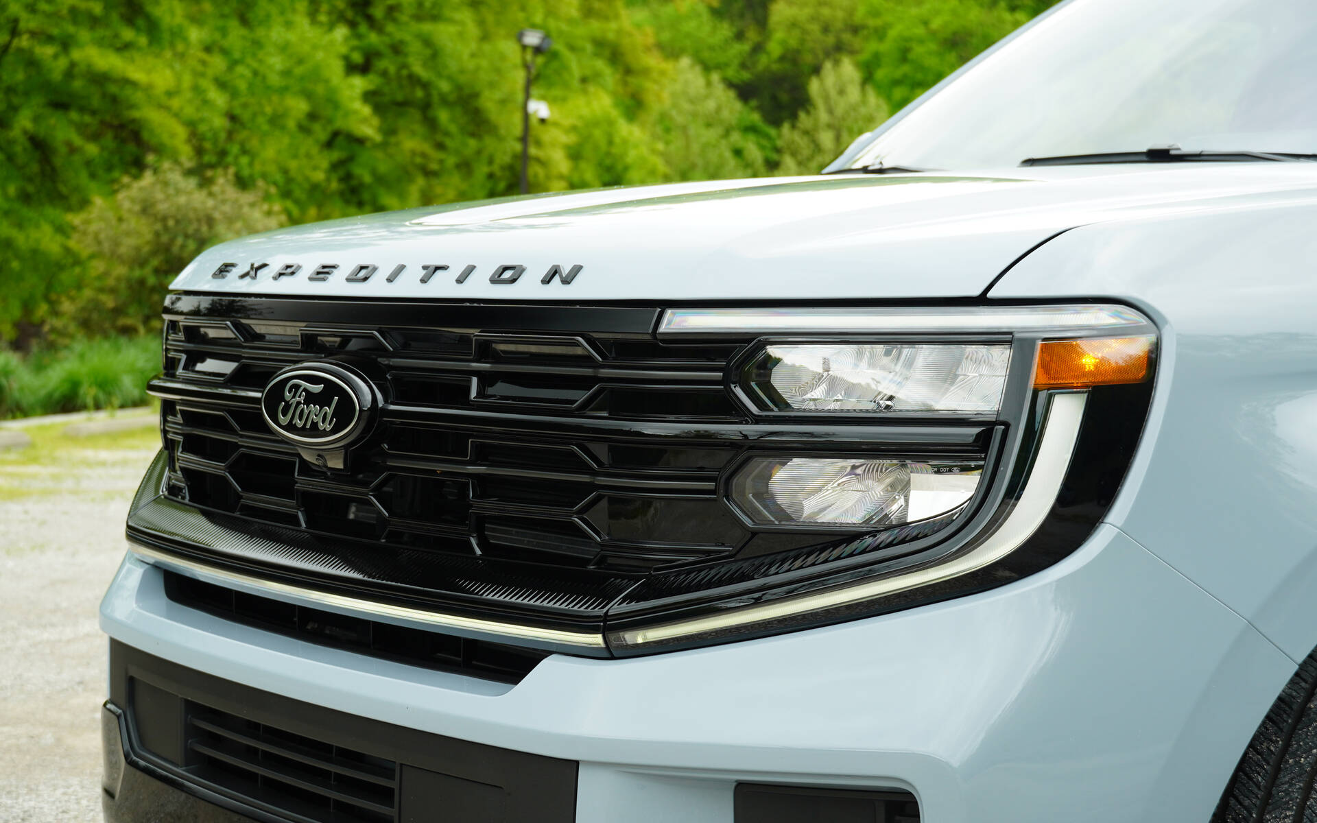 <p>2025 Ford Expedition Platinum (with the Stealth package)</p>