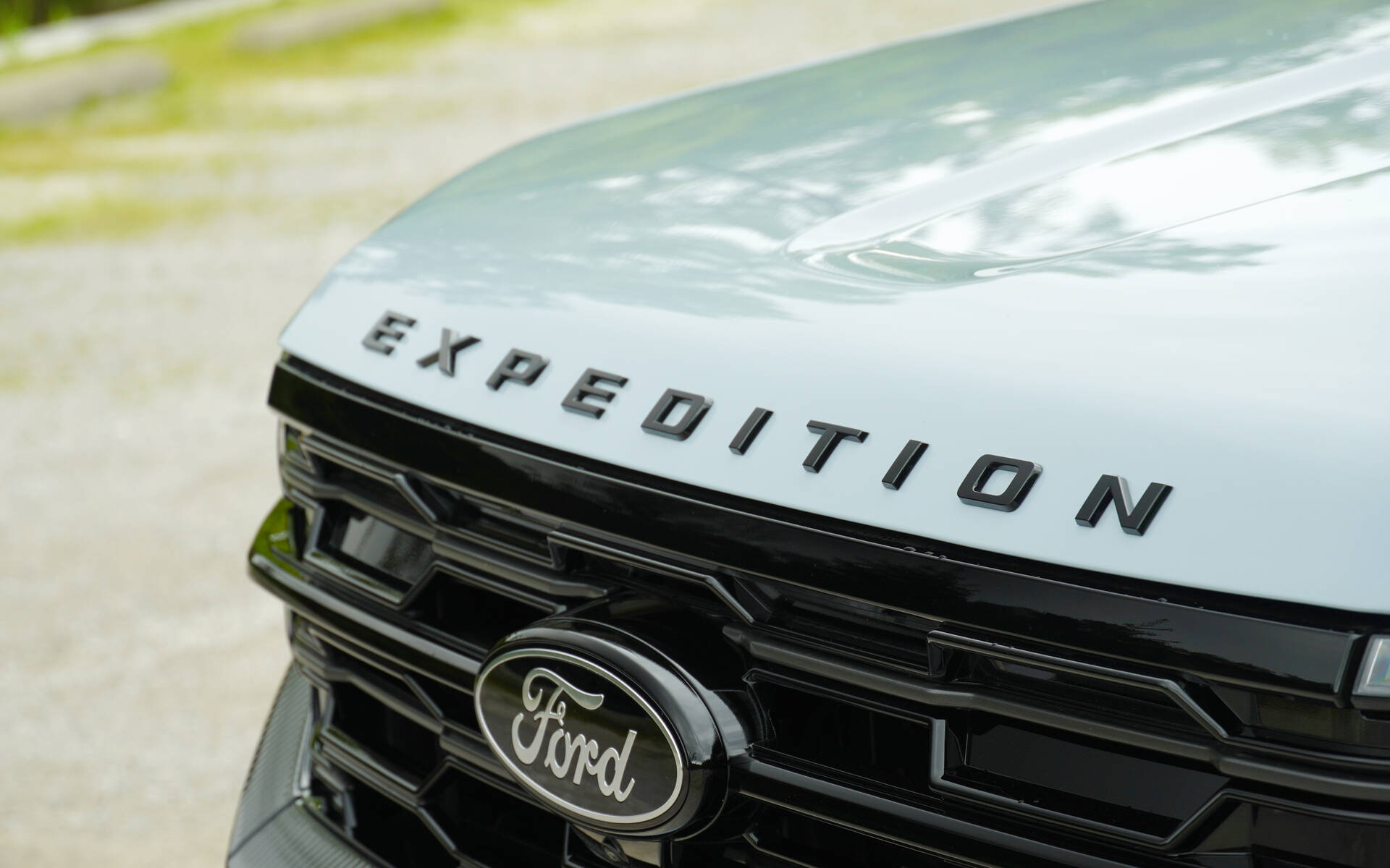 <p>2025 Ford Expedition Platinum (with the Stealth package)</p>