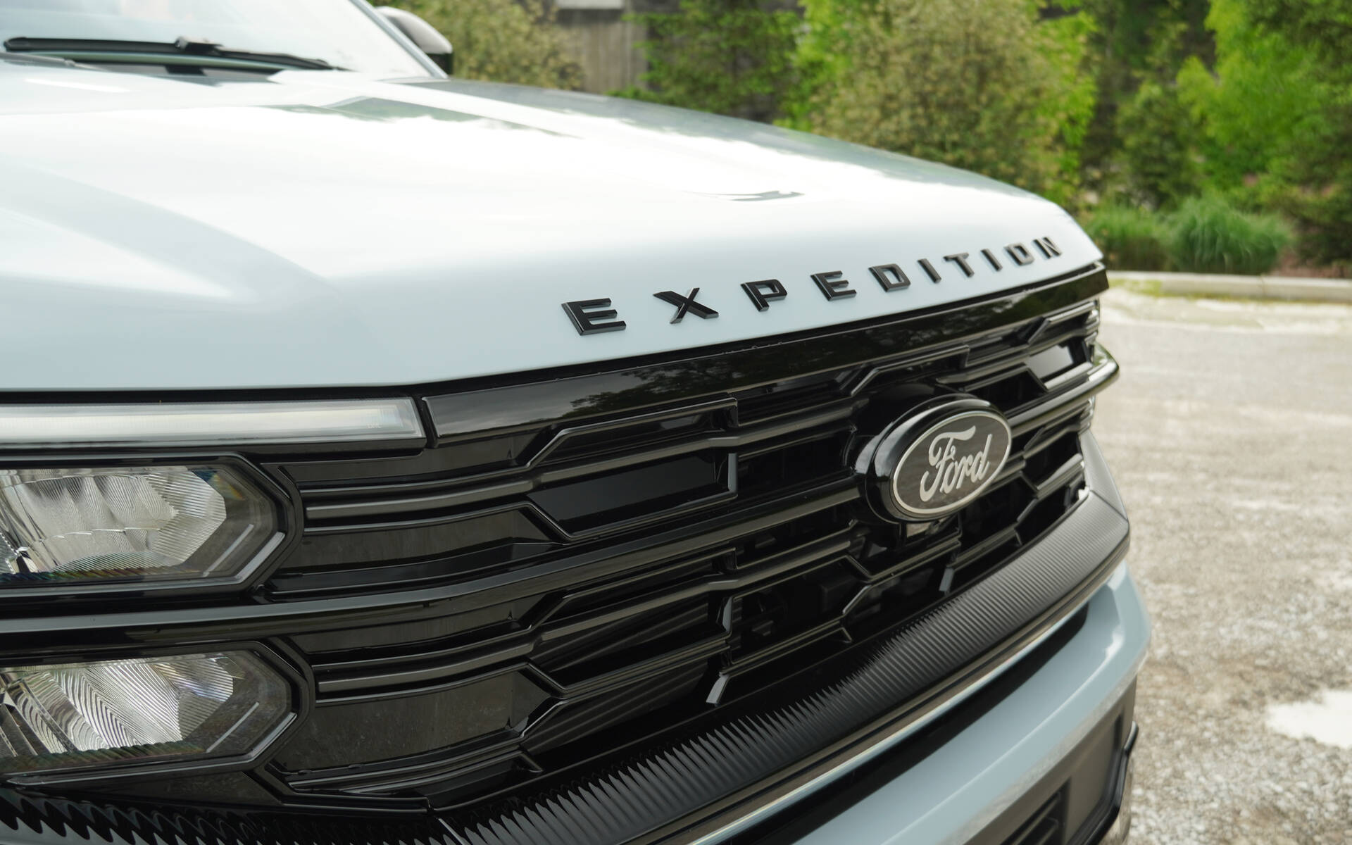 <p>2025 Ford Expedition Platinum (with the Stealth package)</p>