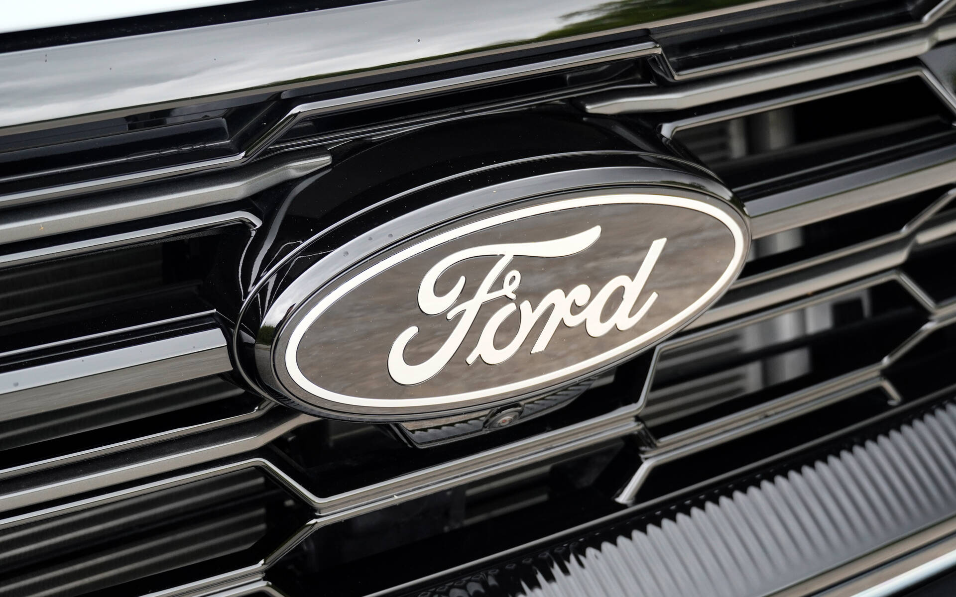 <p>2025 Ford Expedition Platinum (with the Stealth package)</p>