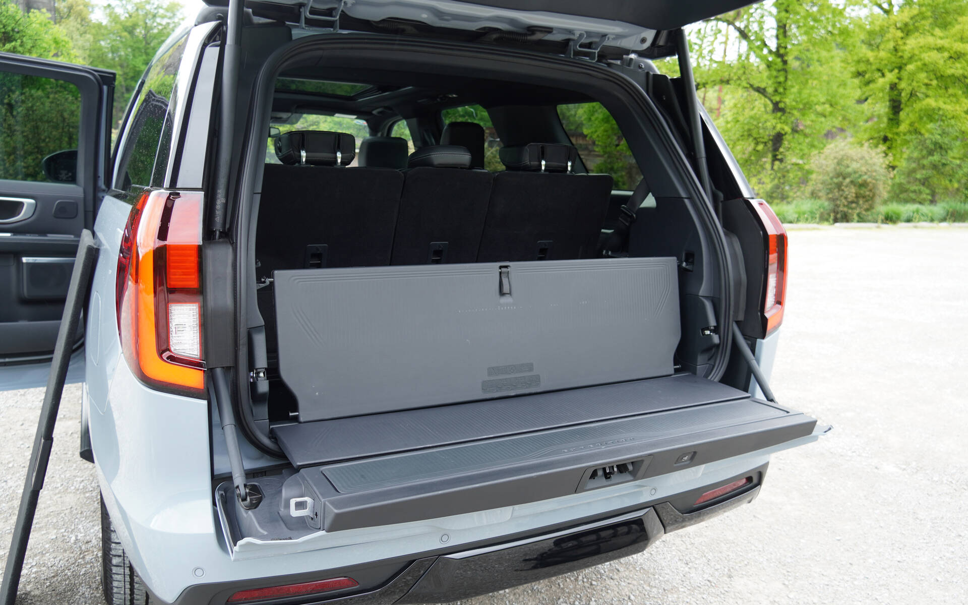 <p>2025 Ford Expedition Platinum (with the Stealth package)</p>