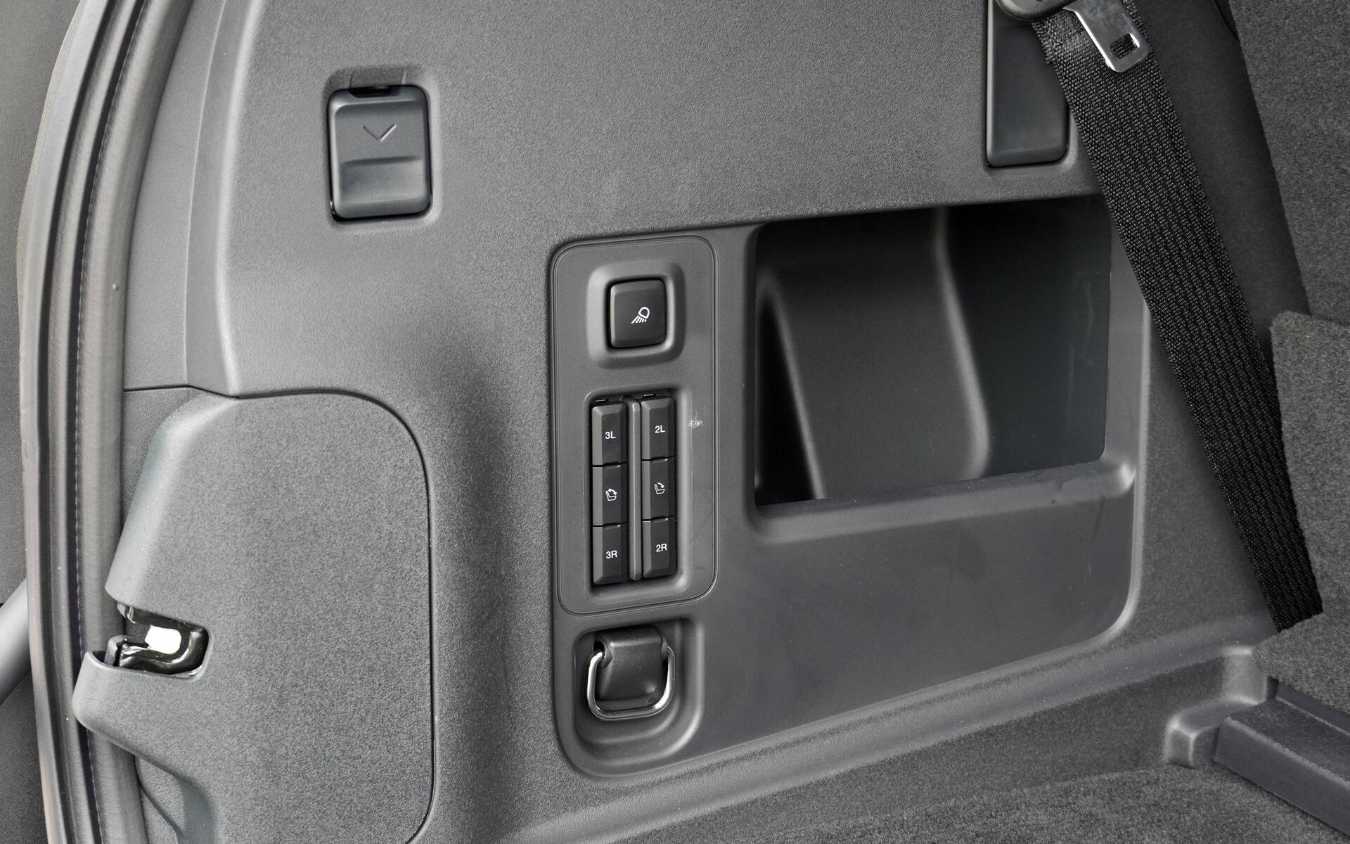 <p>2025 Ford Expedition Platinum (with the Stealth package)</p>