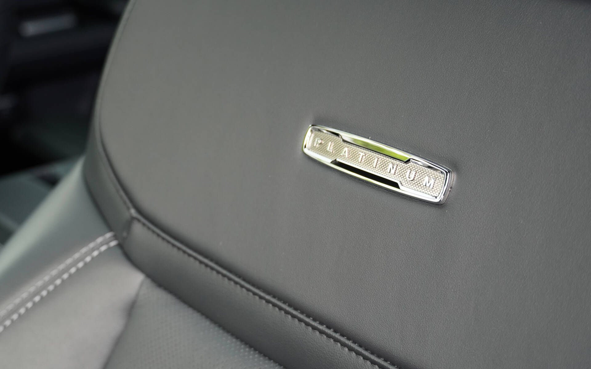 <p>2025 Ford Expedition Platinum (with the Stealth package)</p>