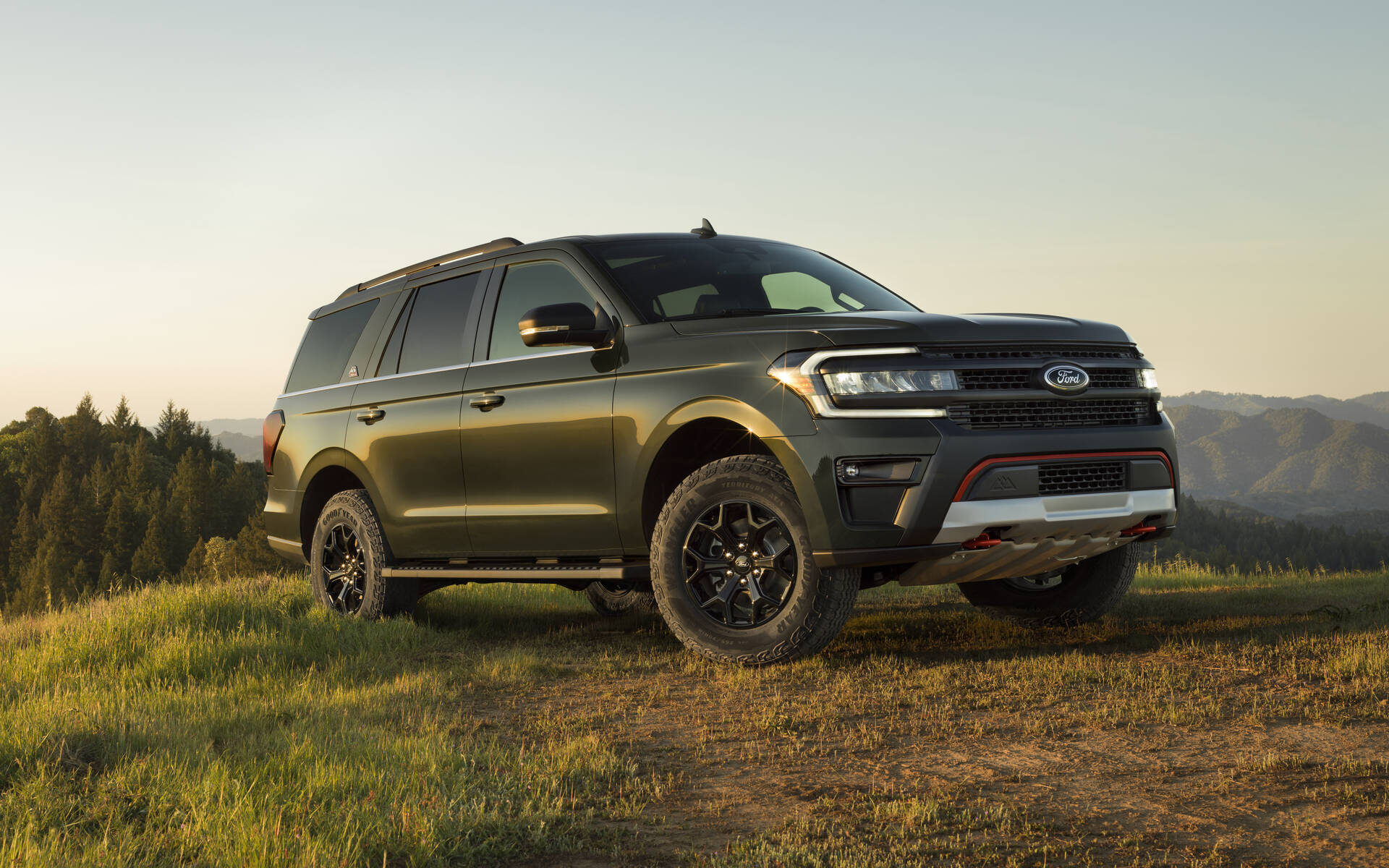 <p>Ford Expedition</p>