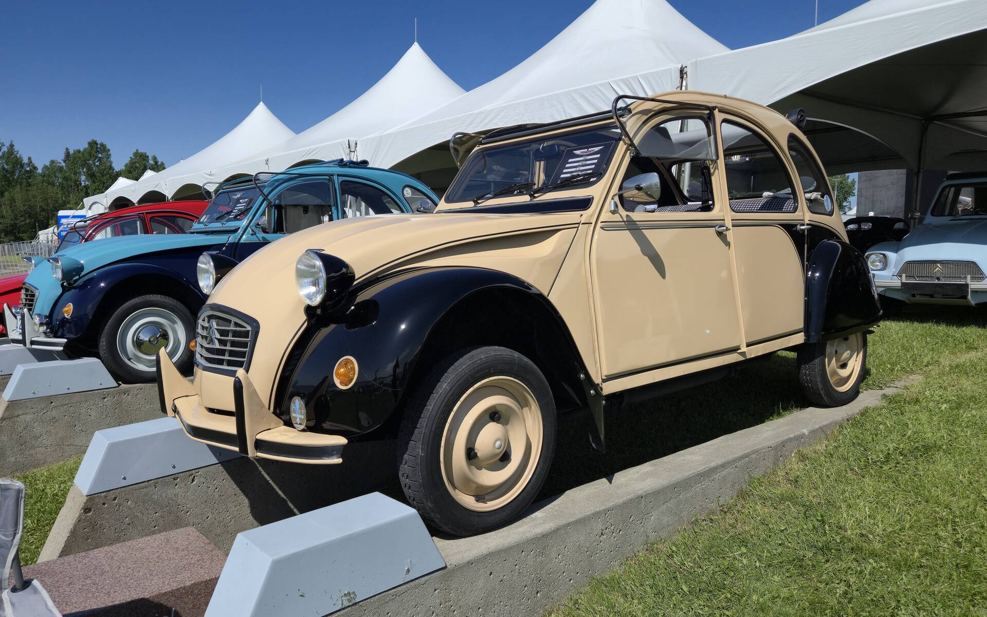 <p>Citroën 2 CV 1983</p>