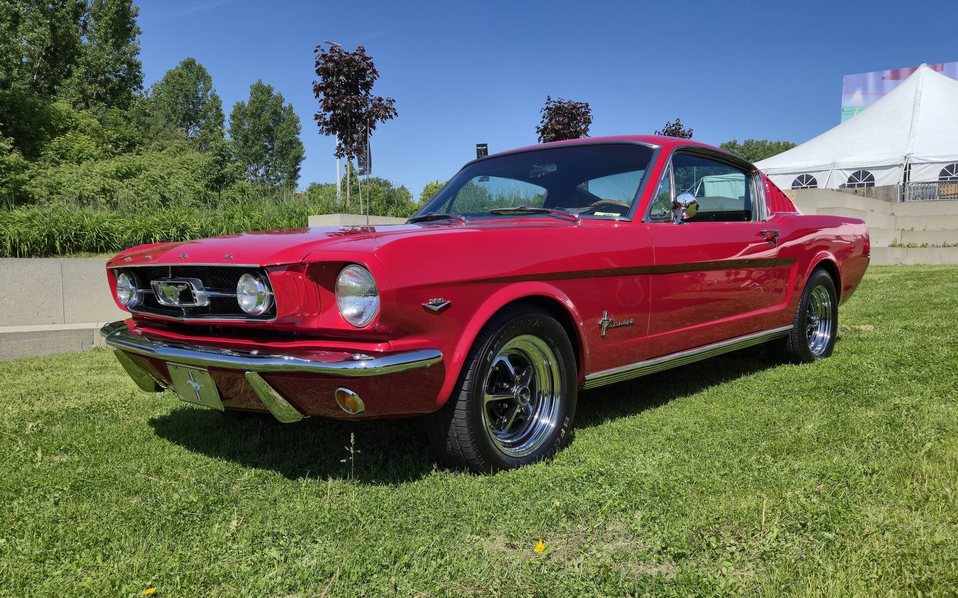 <p>Ford Mustang 1965</p>