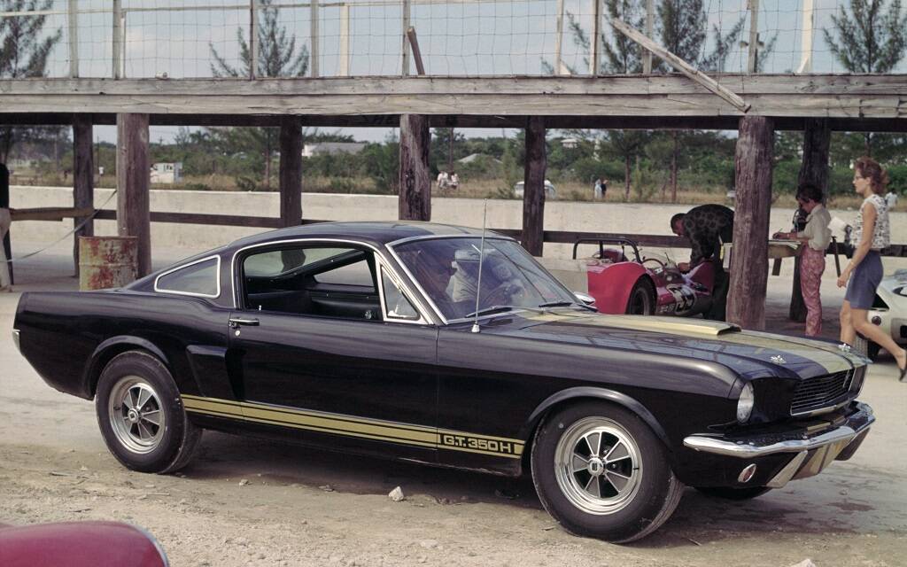 <p>Shelby GT 350 H</p>