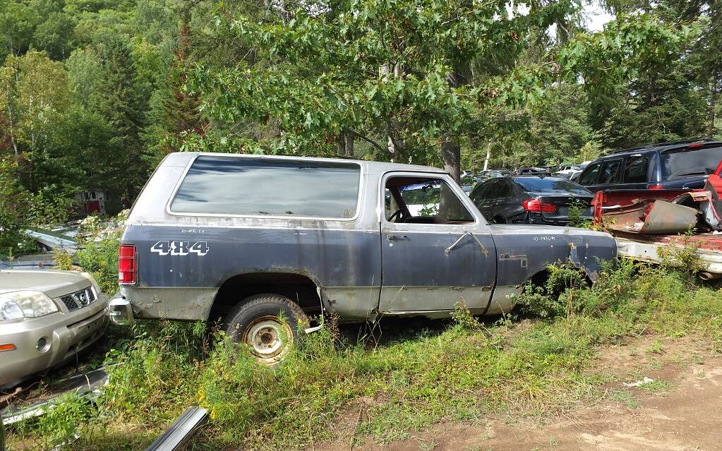 <p>Dodge Ramcharger 1987</p>