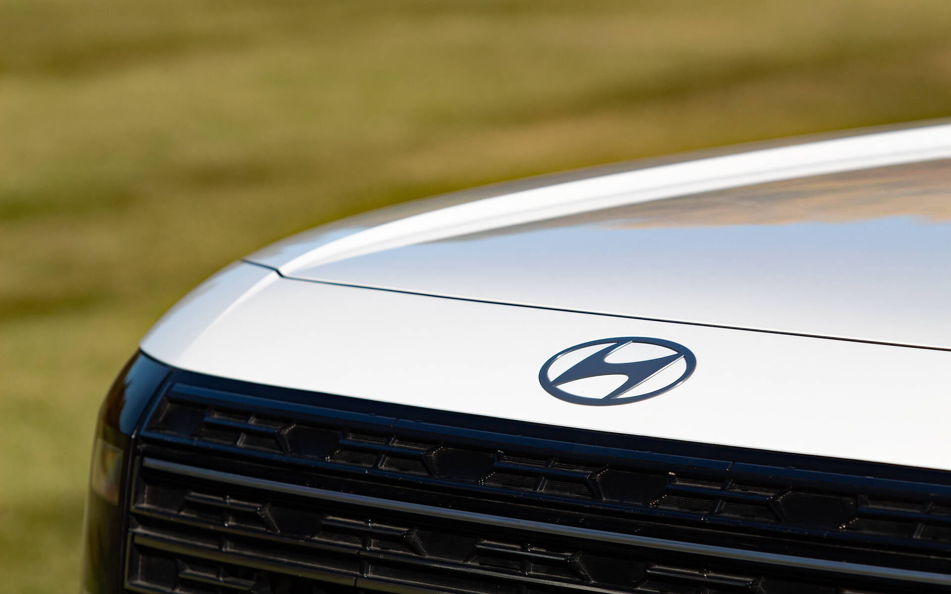 <p>Hyundai Palisade hybride Ultimate Calligraphy 2026</p>