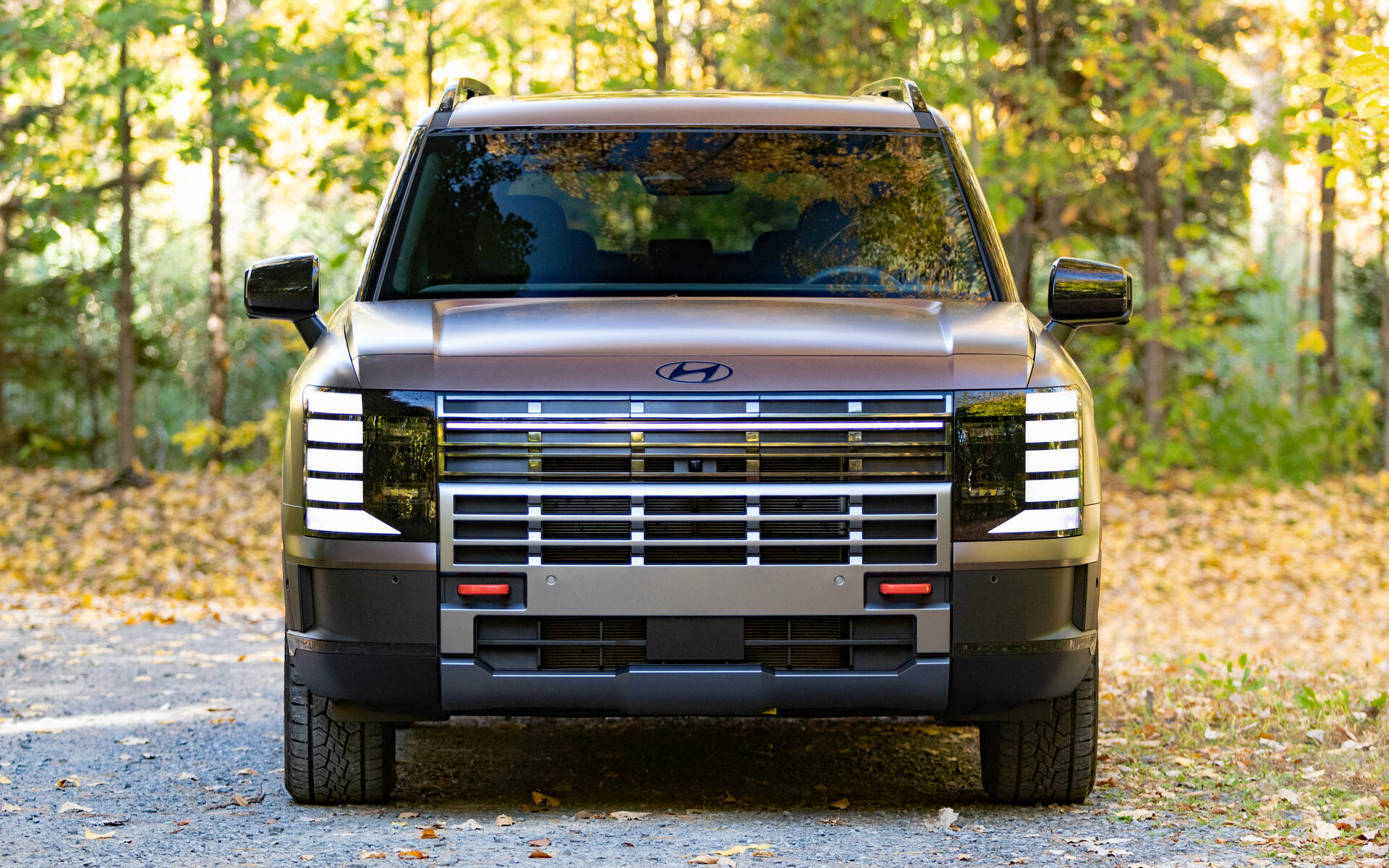 <p>Hyundai Palisade XRT Pro</p>