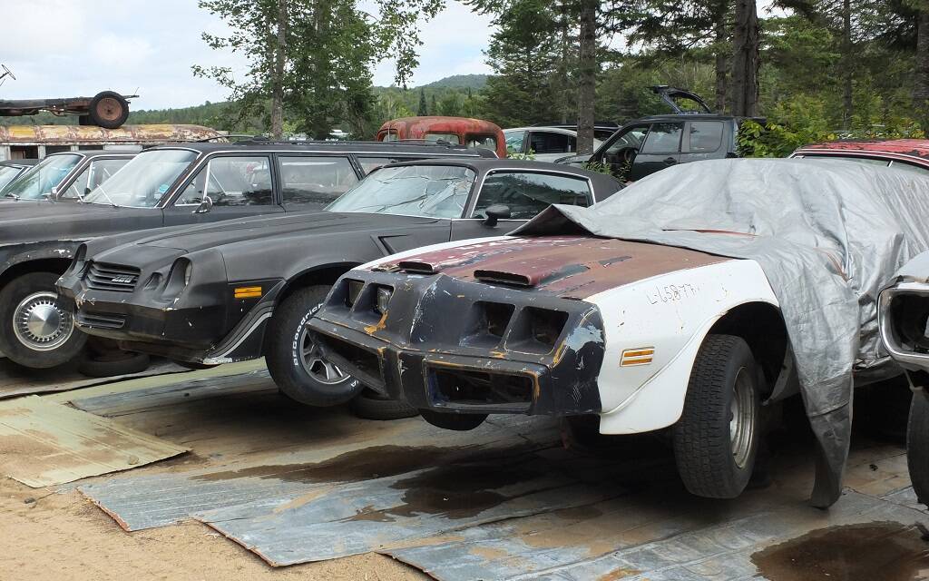 <p>Chevrolet Camaro Z28 1979-81 et Pontiac Firebird 1977</p>