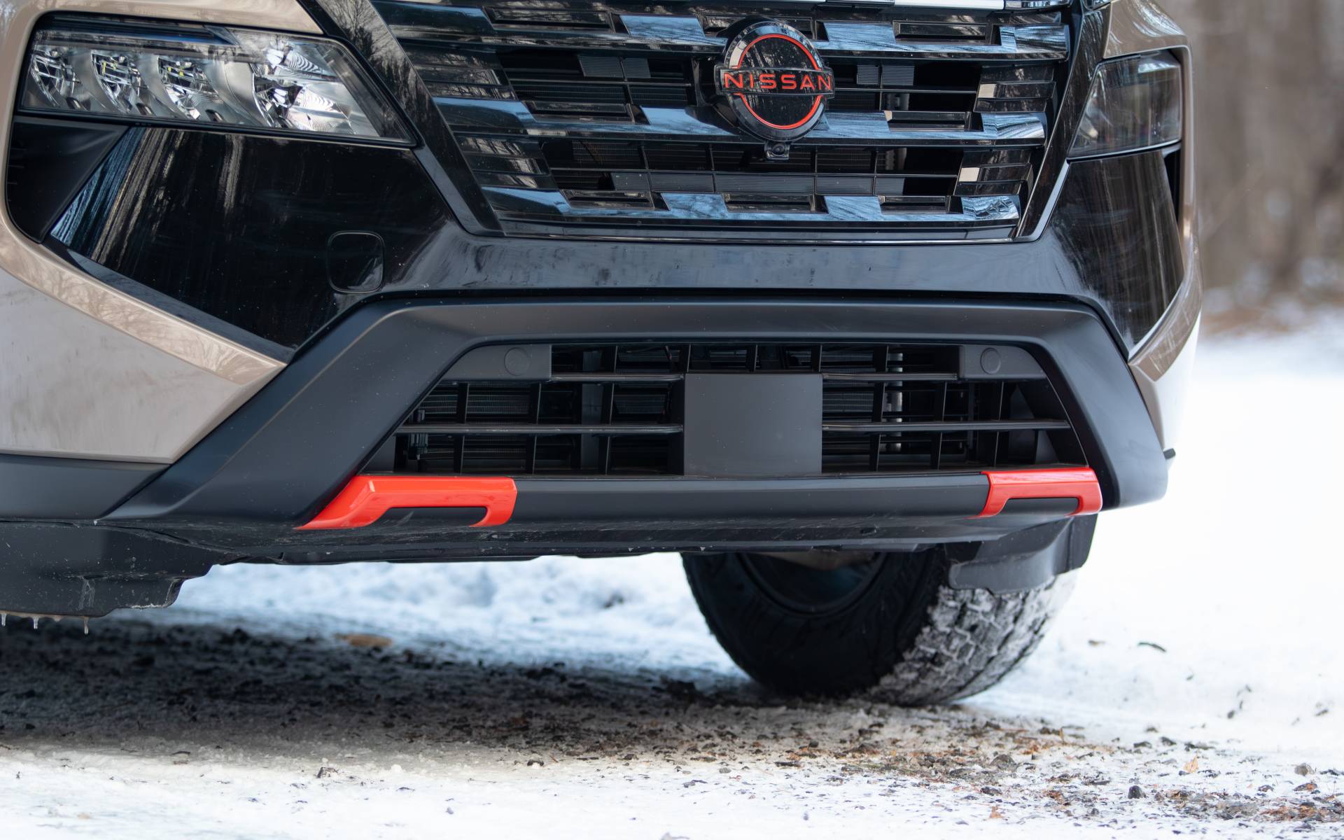 Photo: Dominic Boucher