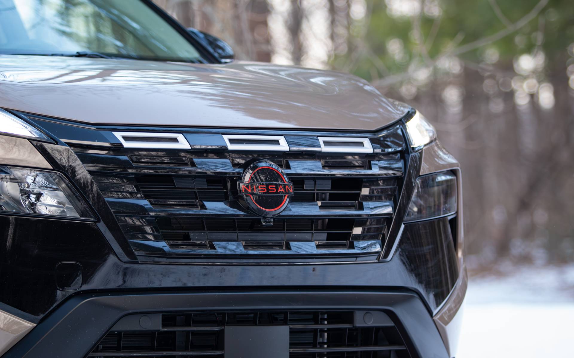 Photo: Dominic Boucher