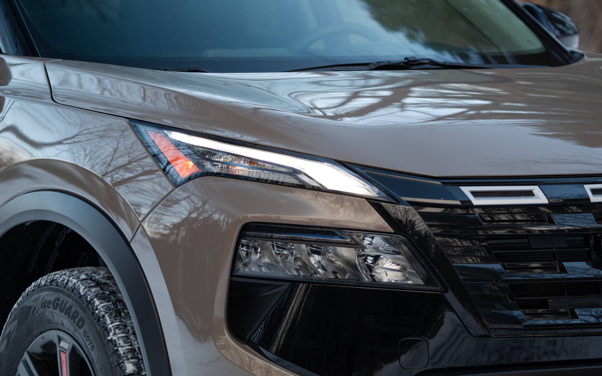 Photo: Dominic Boucher