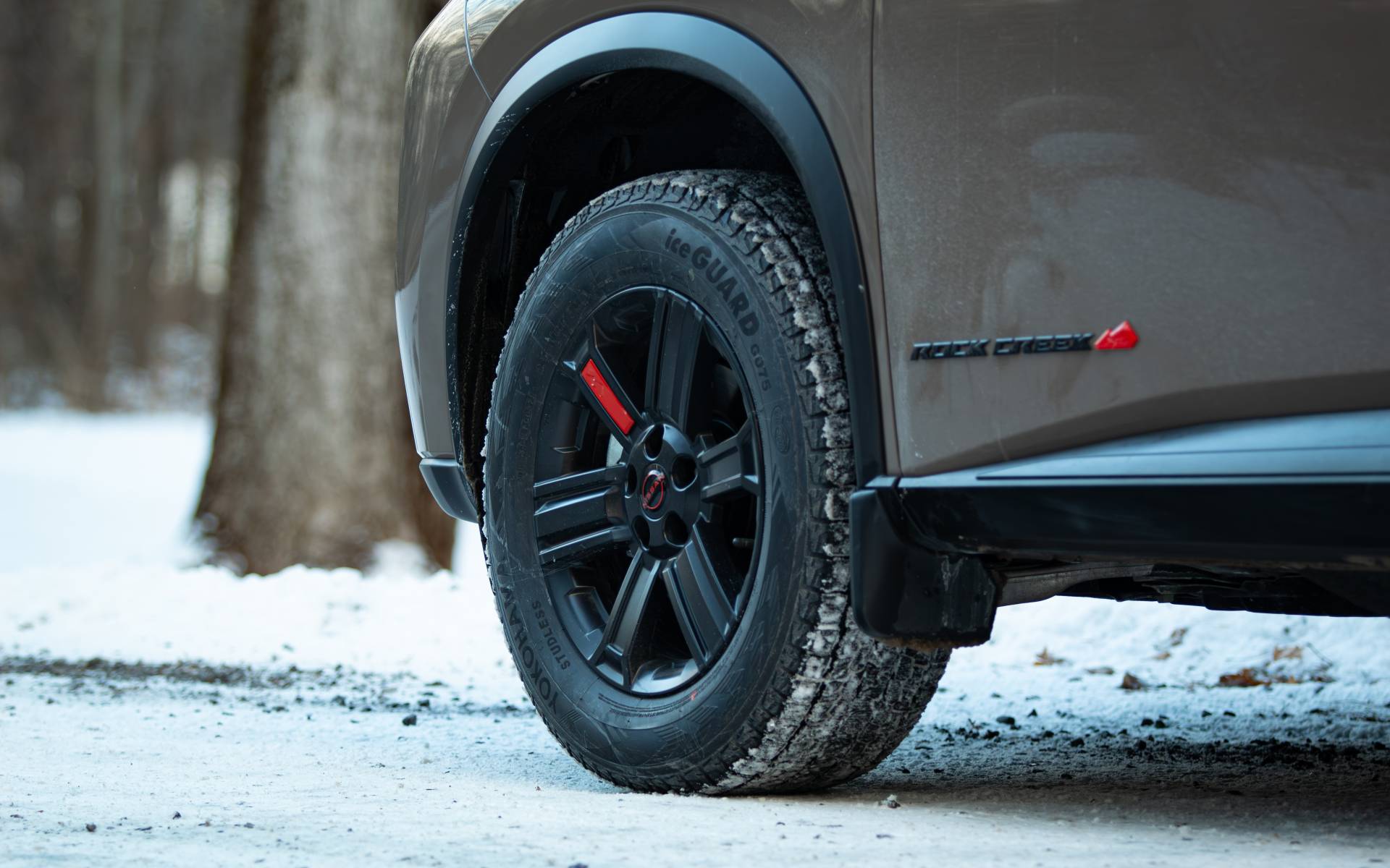 Photo: Dominic Boucher