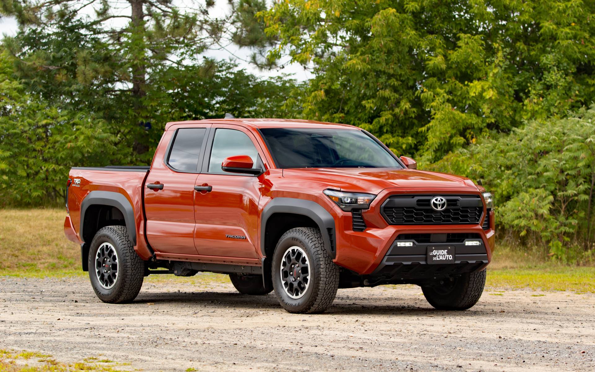 Photo: Dominic Boucher