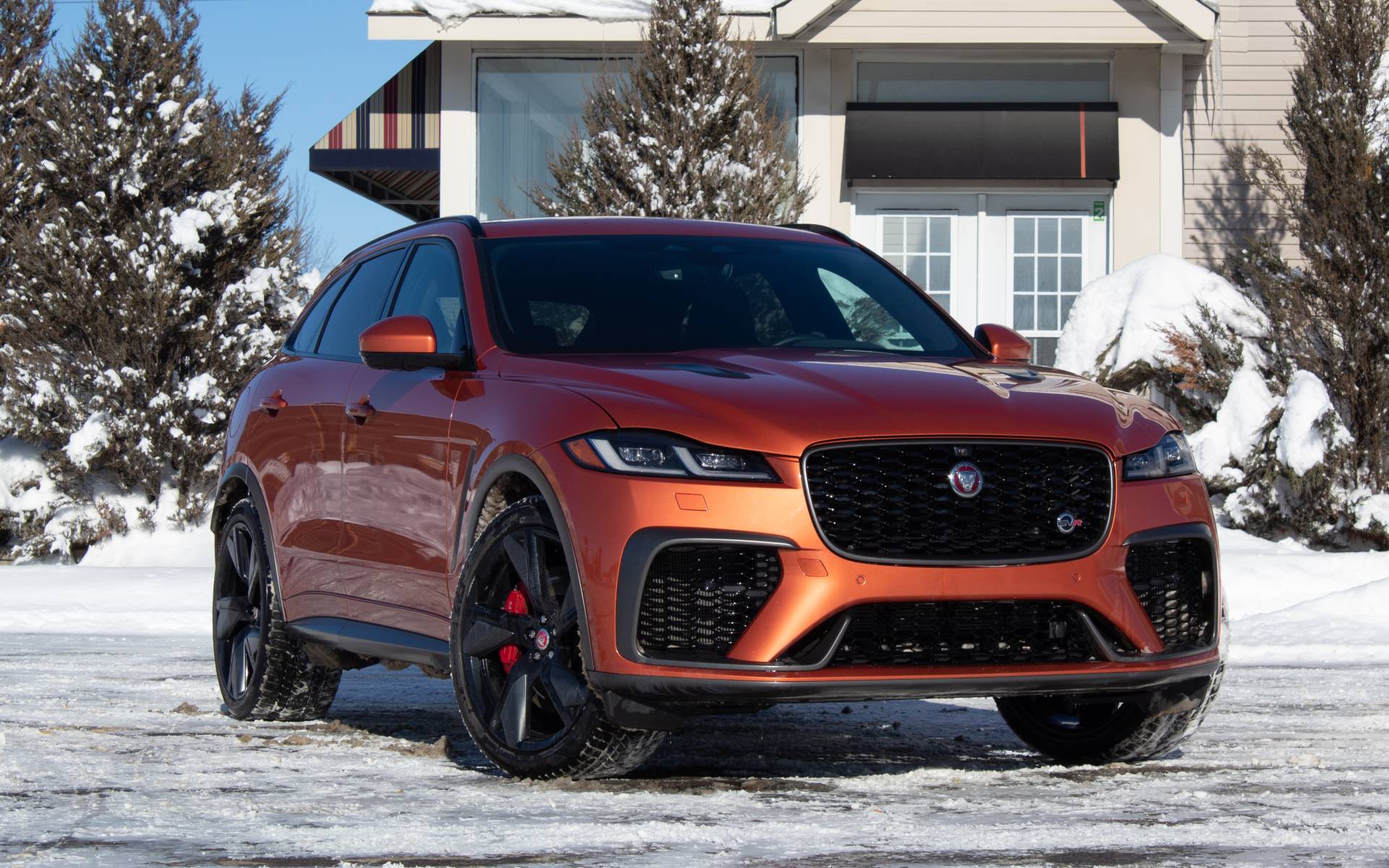 Photo: Dominic Boucher