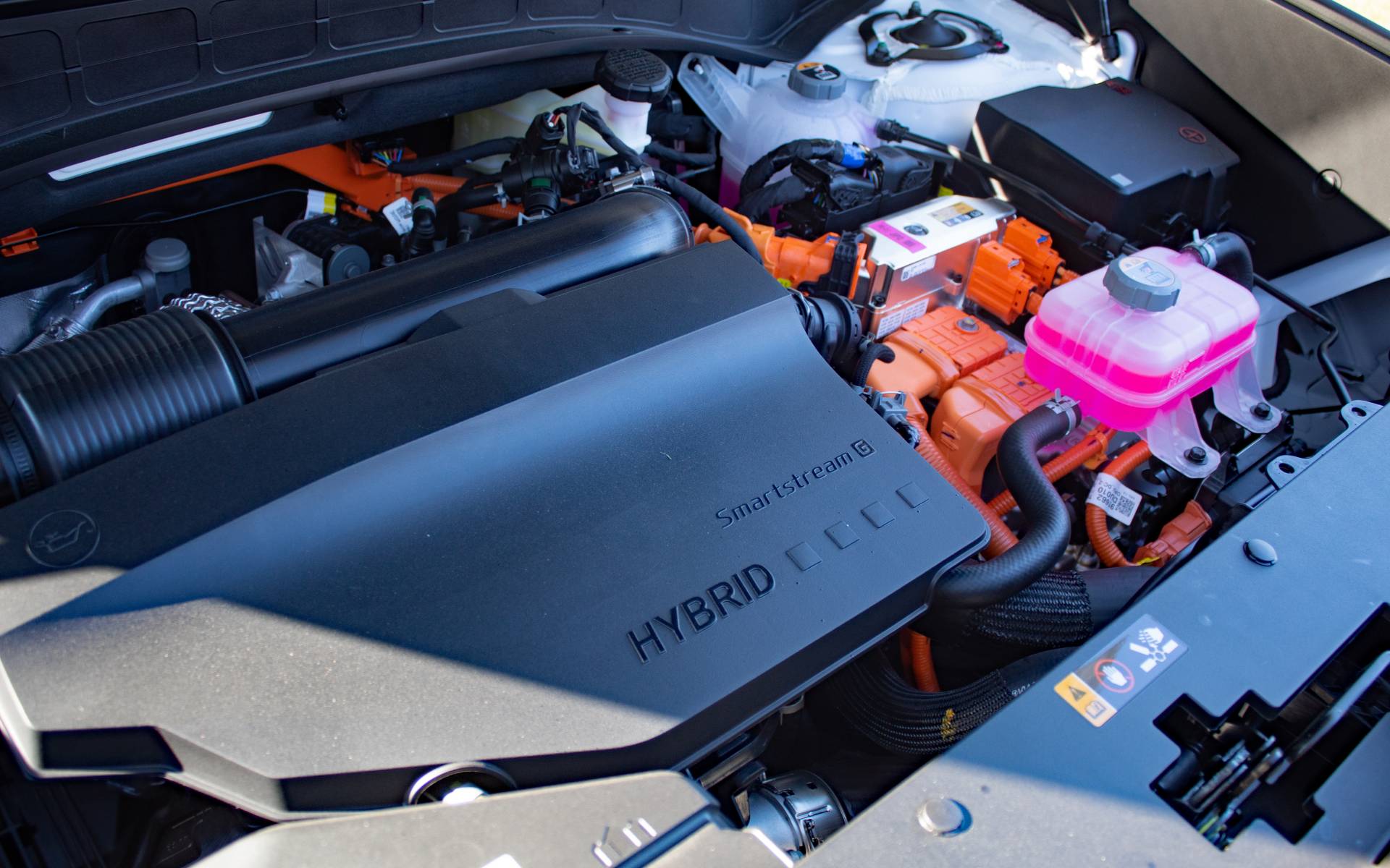 Photo: Dominic Boucher