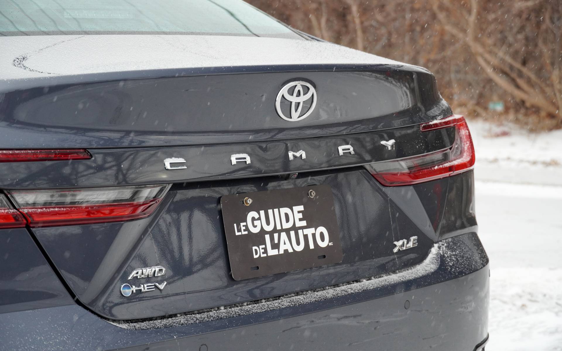 Photo: Vincent Aubé