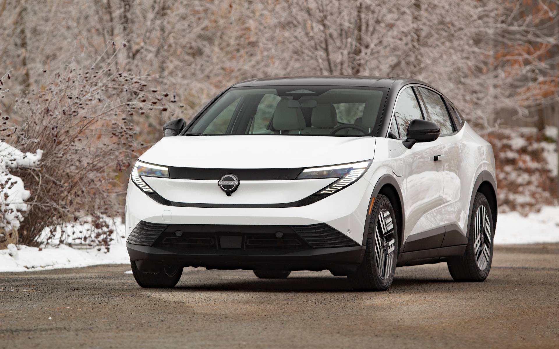 Photo: Dominic Boucher