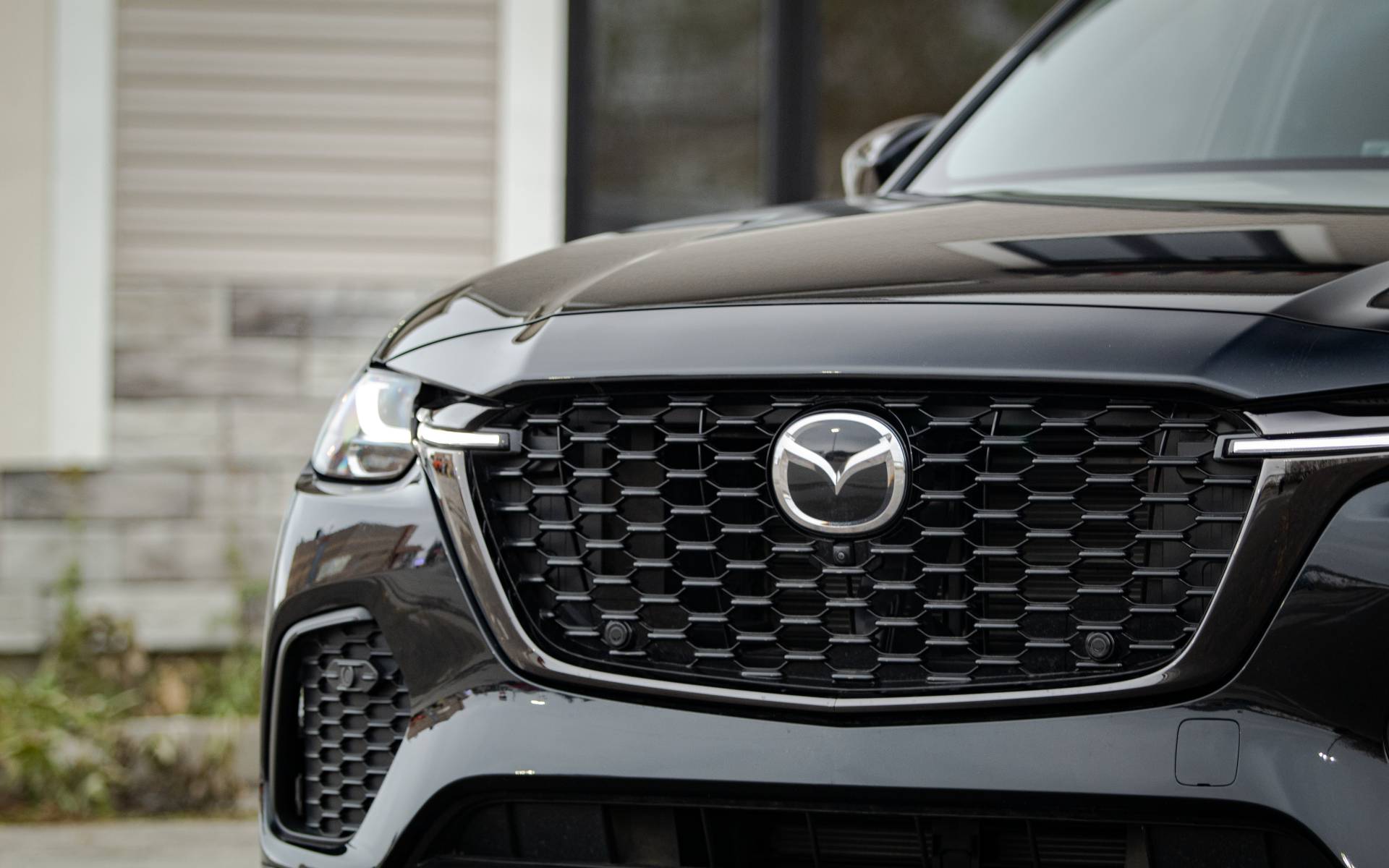 Photo: Dominic Boucher