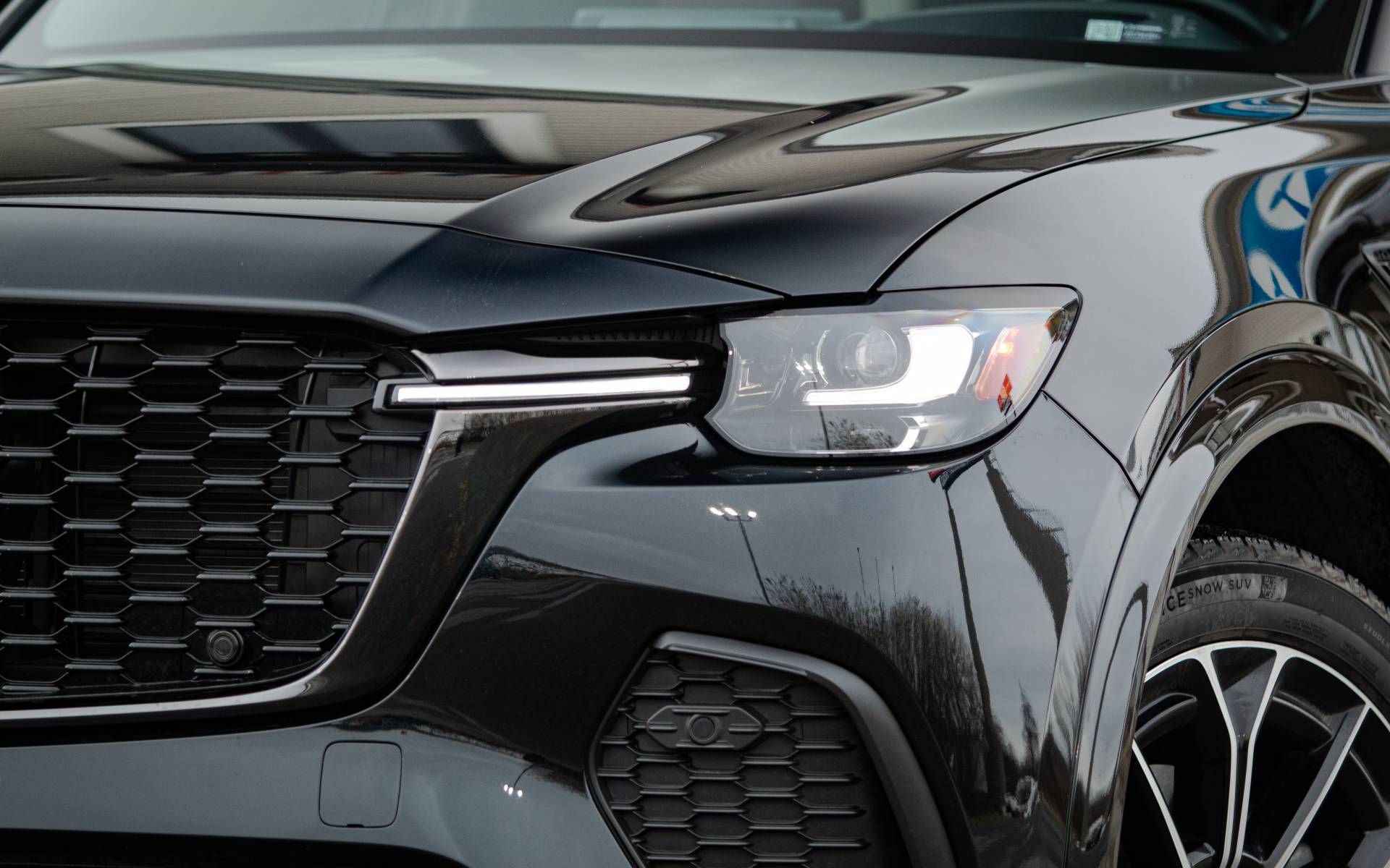 Photo: Dominic Boucher