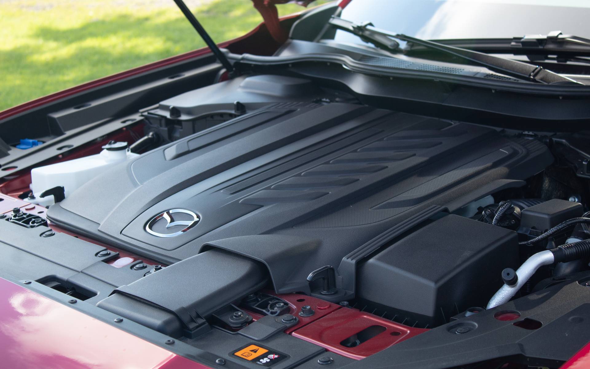 Photo: Dominic Boucher