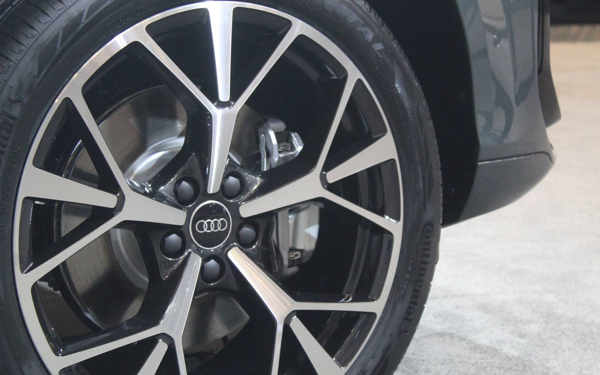 Photo: Dominic Boucher