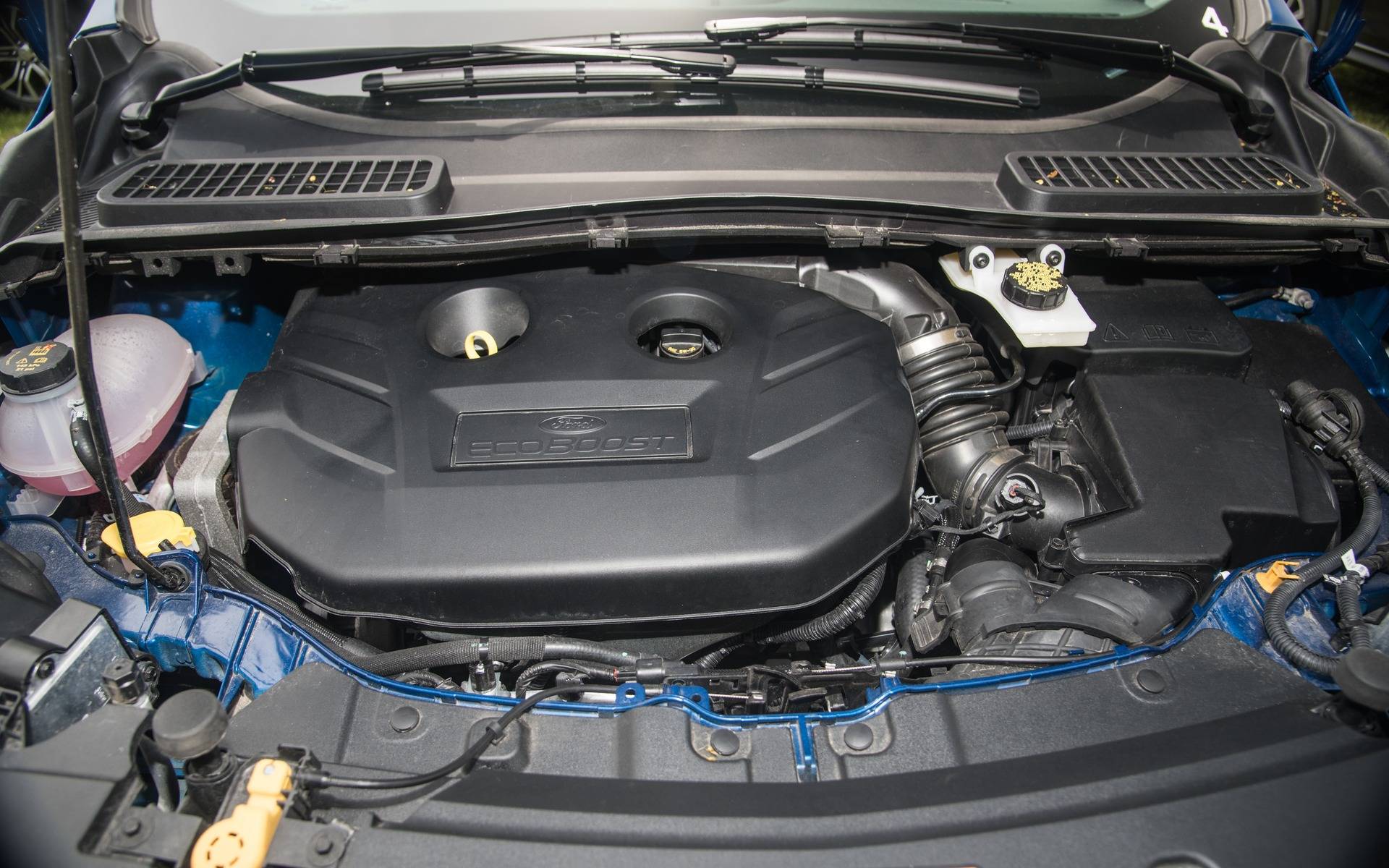 Photo: Jeremy Alan Glover