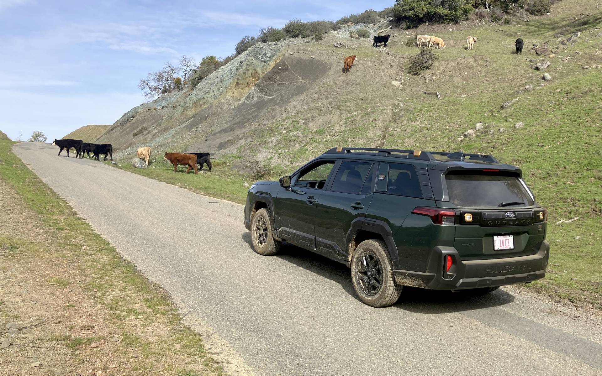 Photo: Vincent Aubé