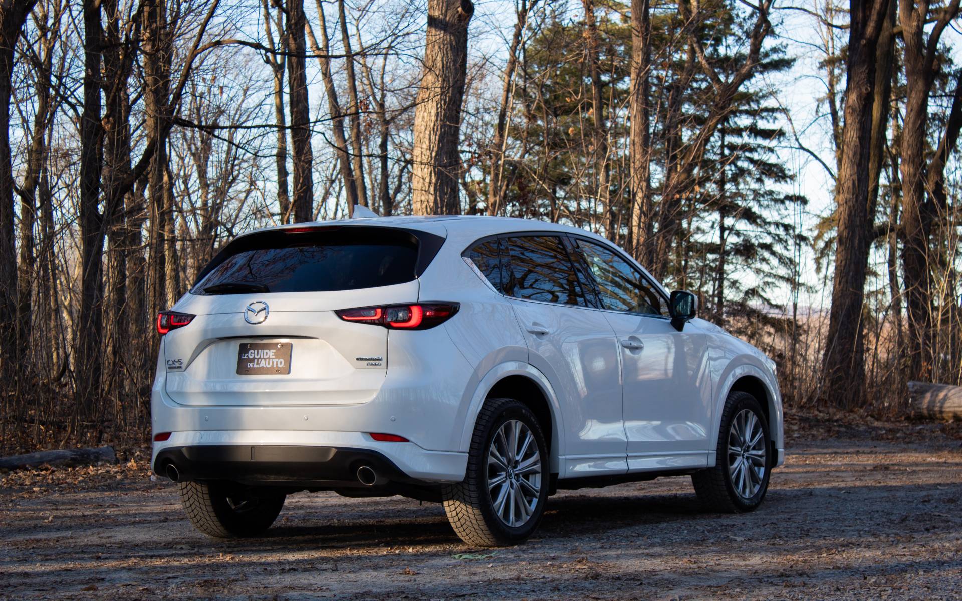 Photo: Dominic Boucher