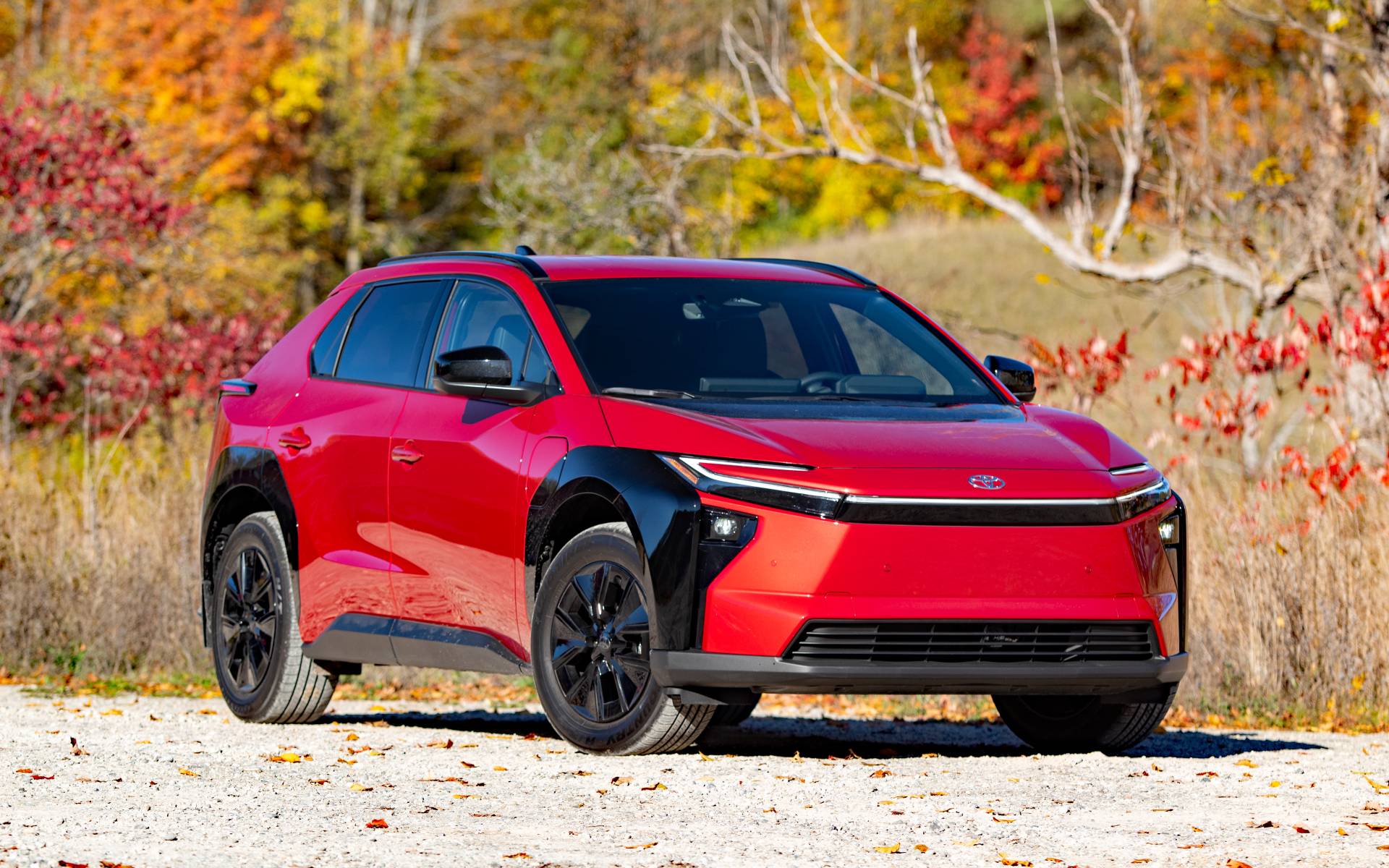 Photo: Dominic Boucher