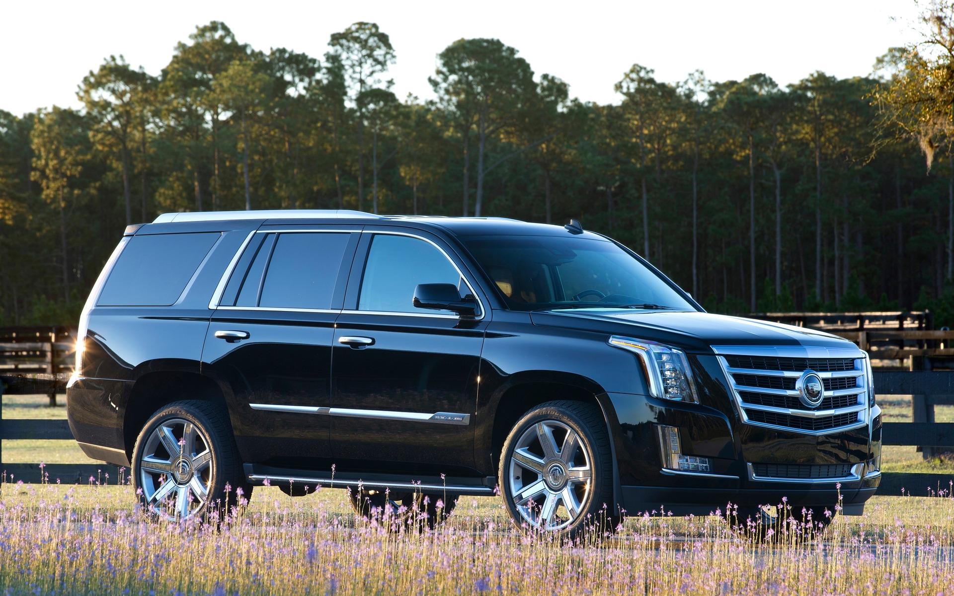 Cadillac Escalade 2016