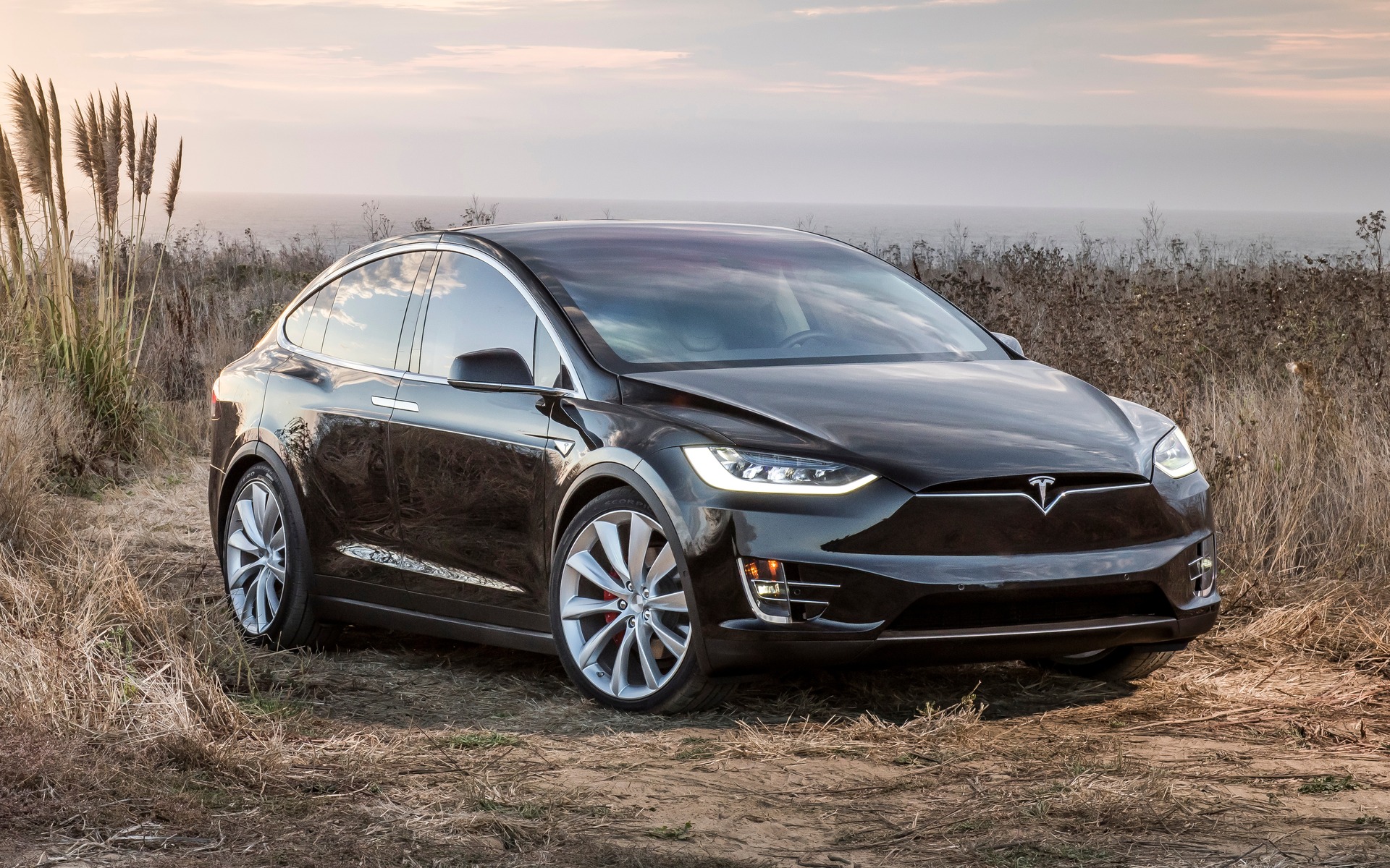 Tesla Model X 100D Specifications - The Car Guide