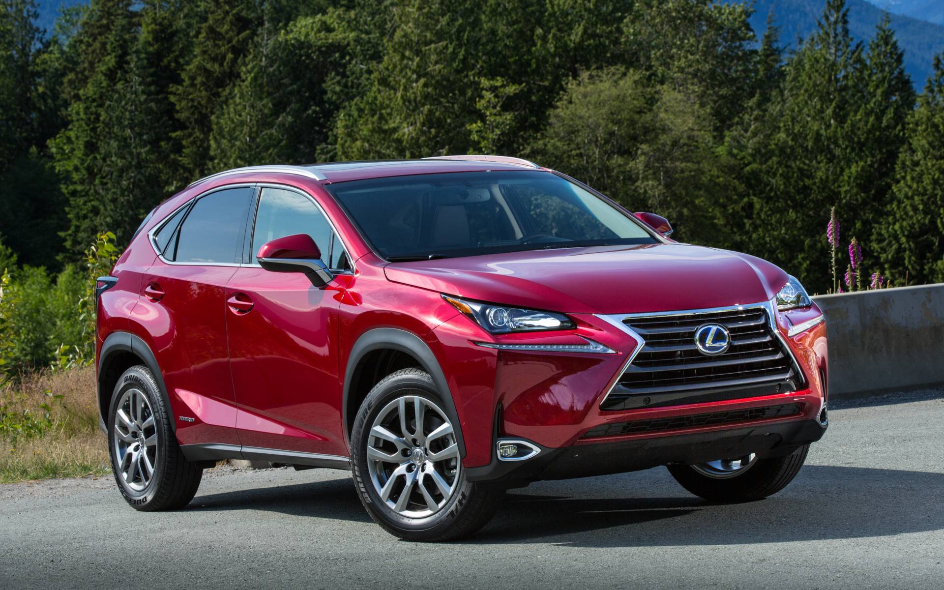 Photos Lexus NX 2020 1 1 Guide Auto