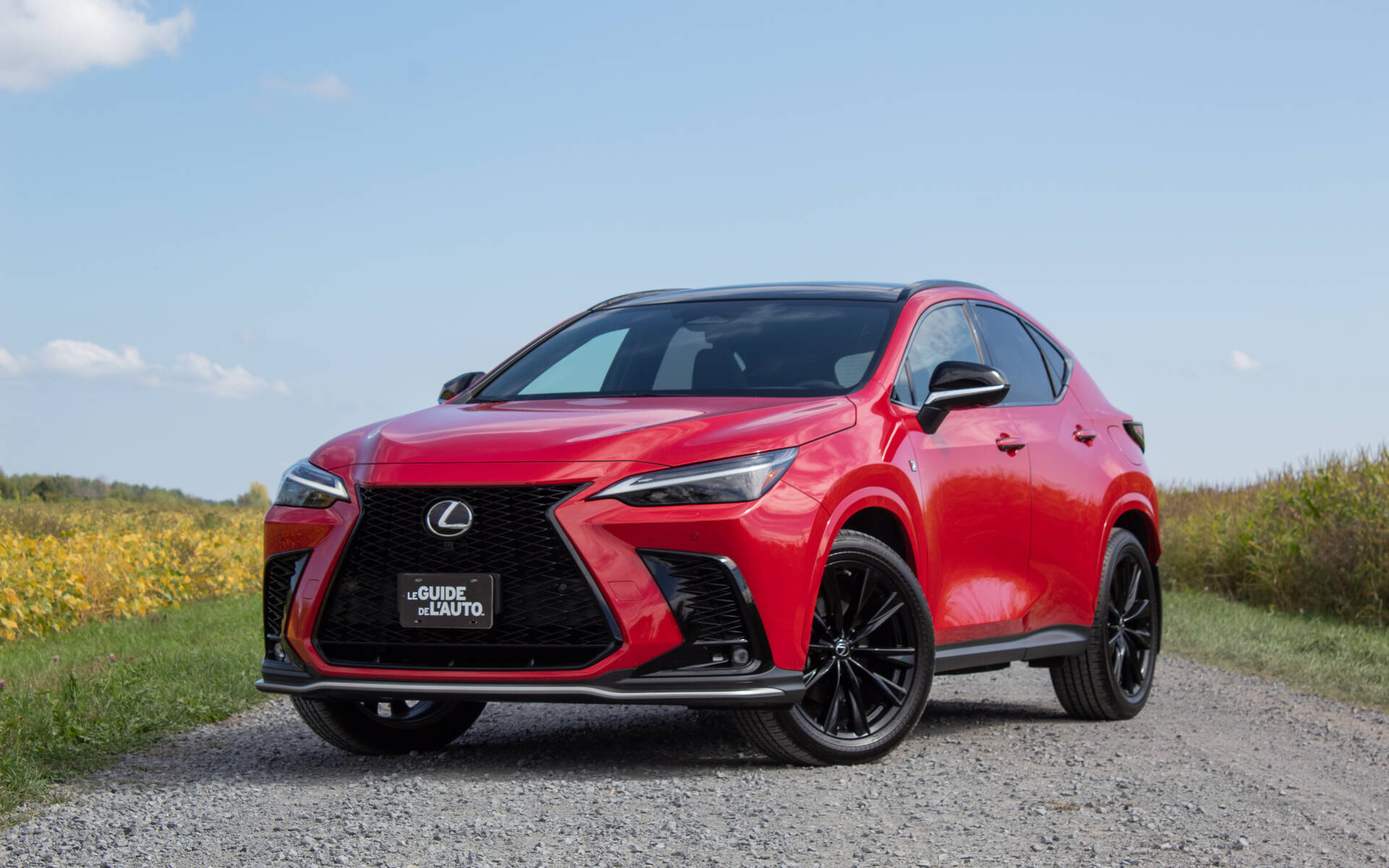 2023 Lexus NX Photos 1 1 The Car Guide