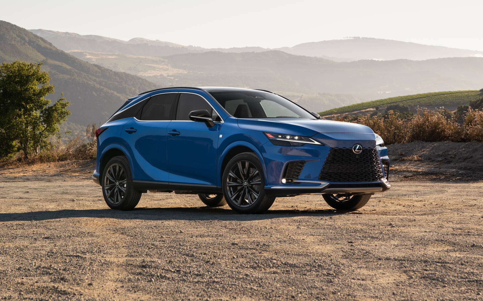 2023 Lexus RX 350h Price & Specifications The Car Guide