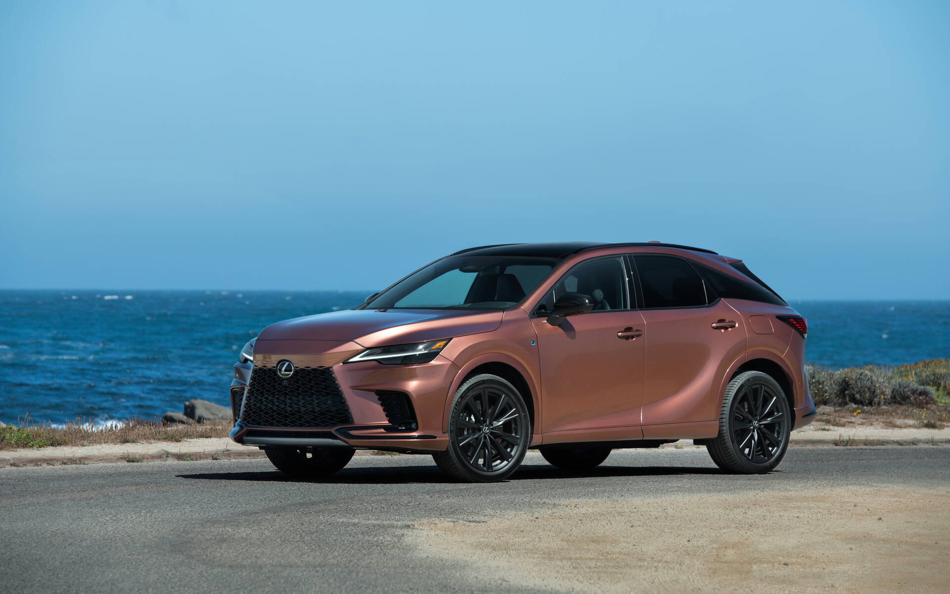 2024 Lexus RX - News, reviews, picture galleries and videos - The Car Guide