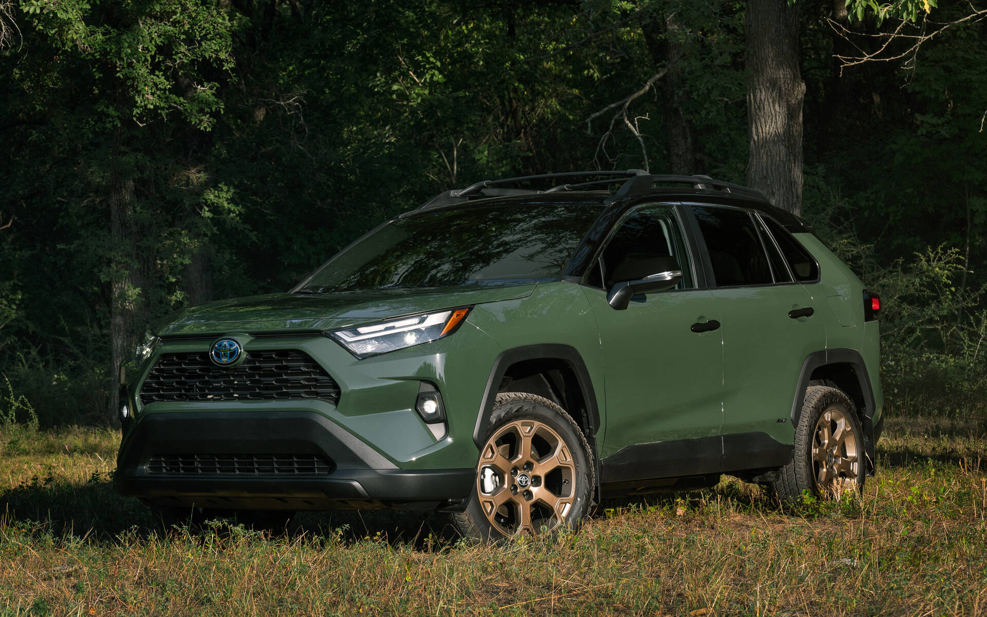 2024 Toyota RAV4 - News, reviews, picture galleries and videos - The Car  Guide