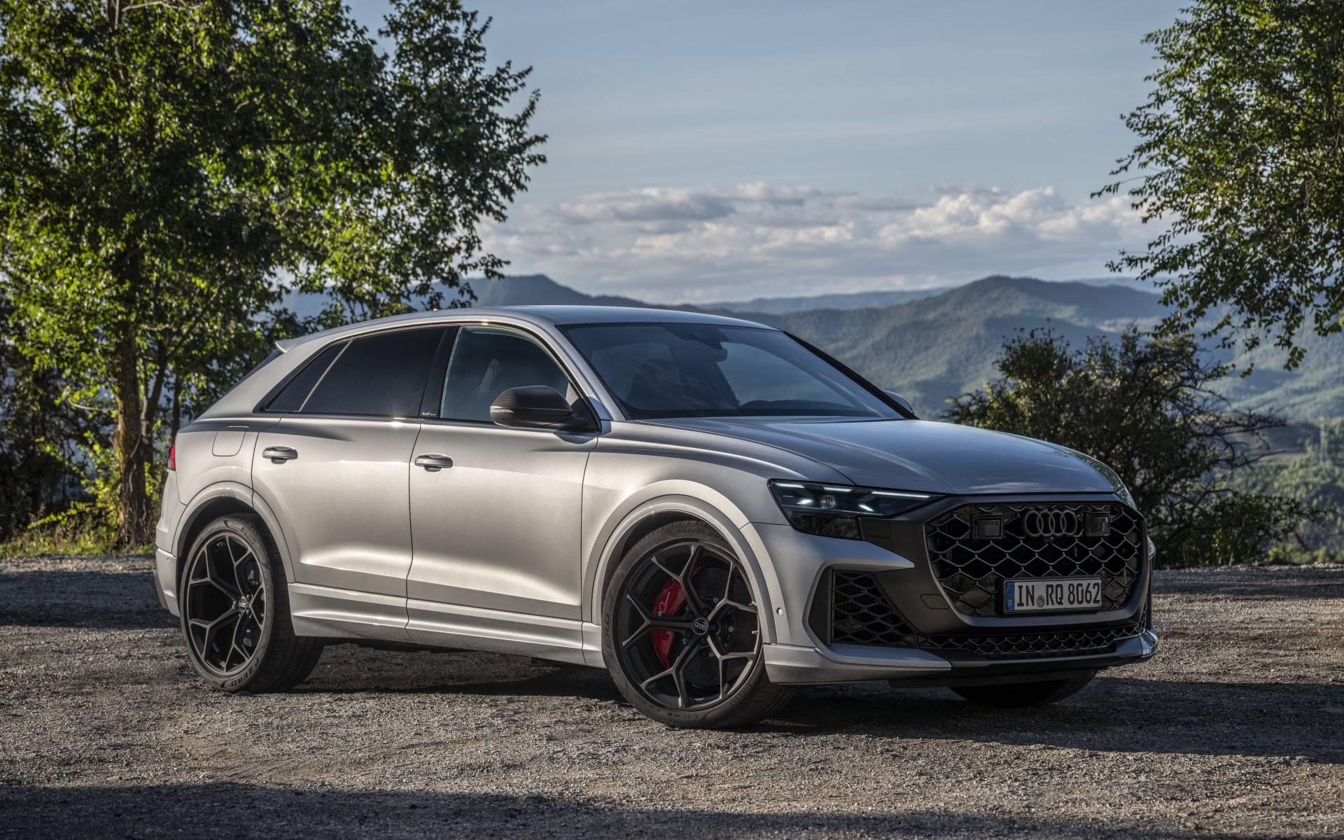 2025 Audi Q8