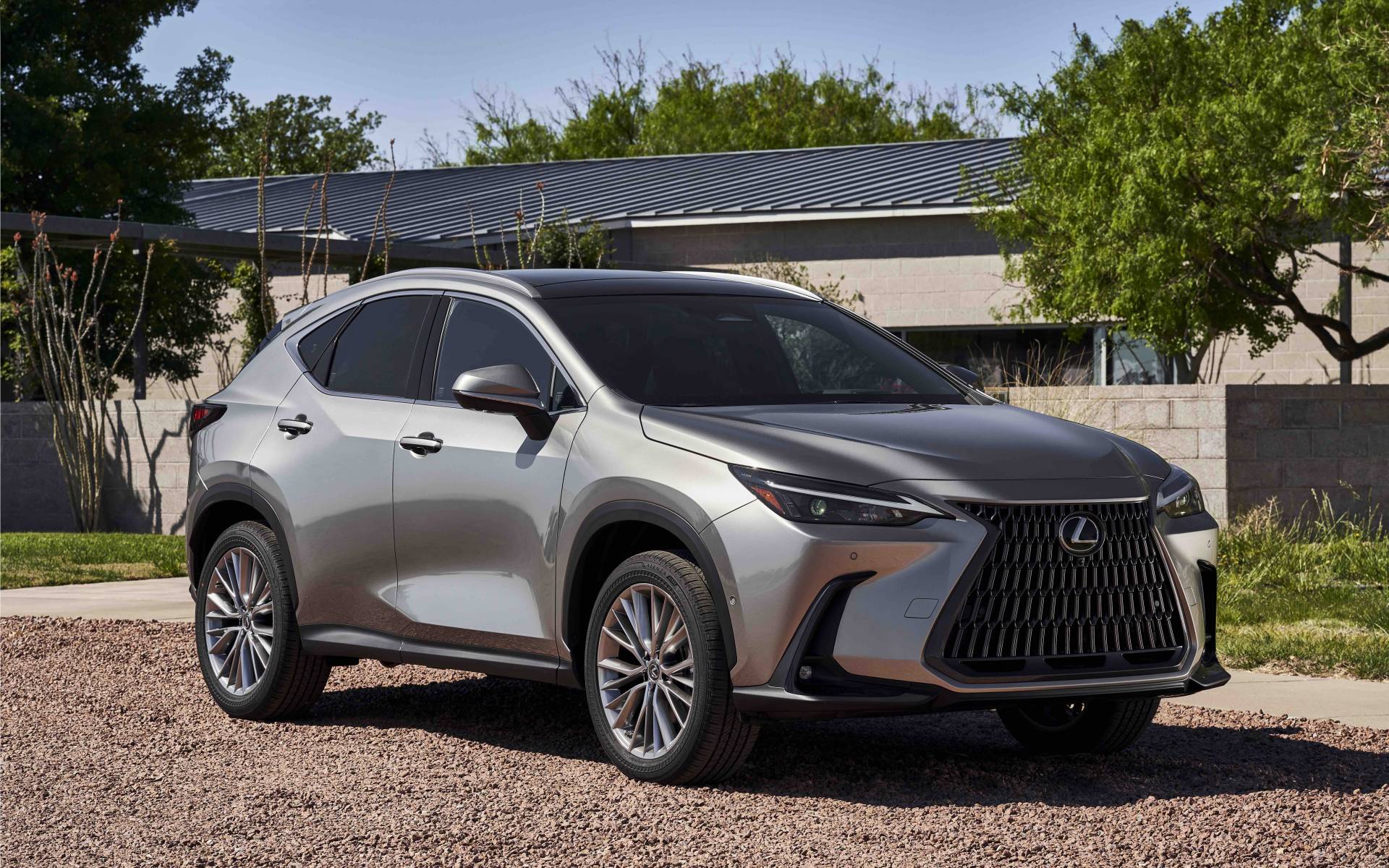 Lexus NX 2025