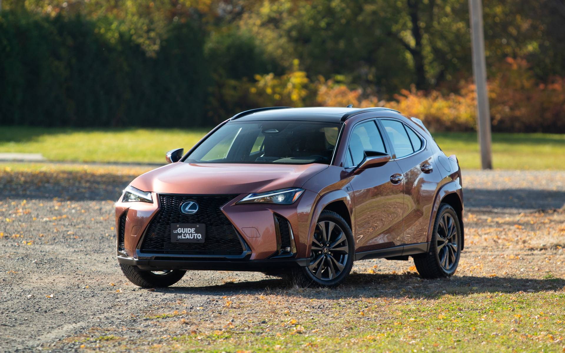 2025 Lexus UX